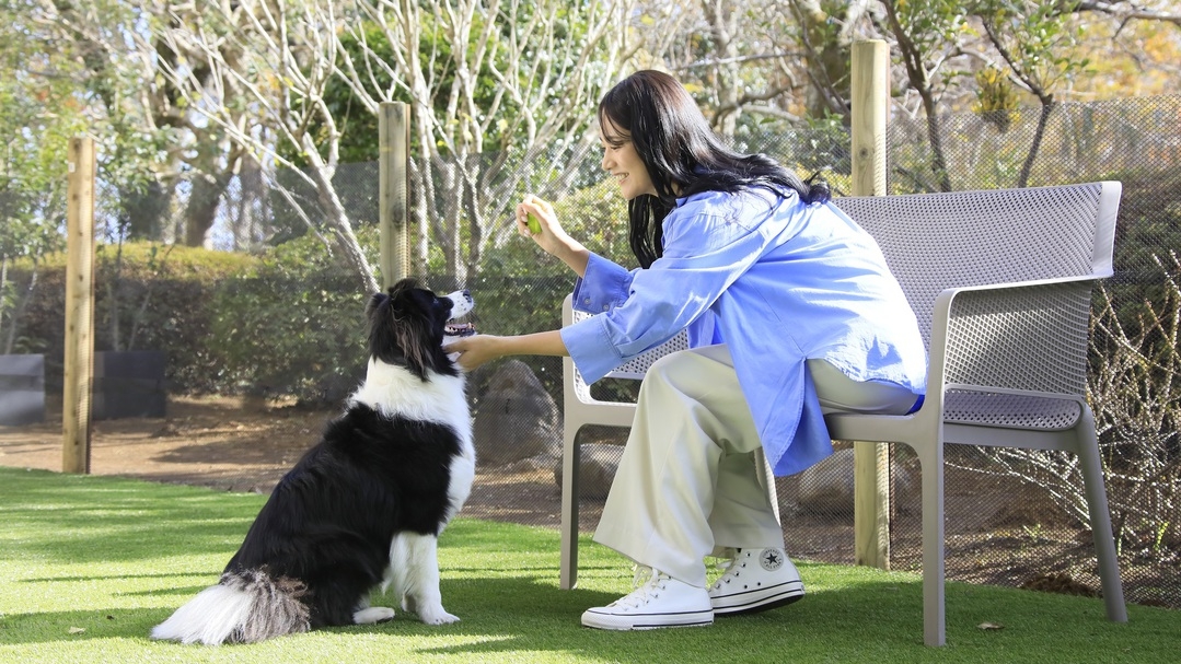 【OPEN記念】期間限定でお得／愛犬と熱海の温泉リゾートでゆるり旅＜■特選鍋会席＞