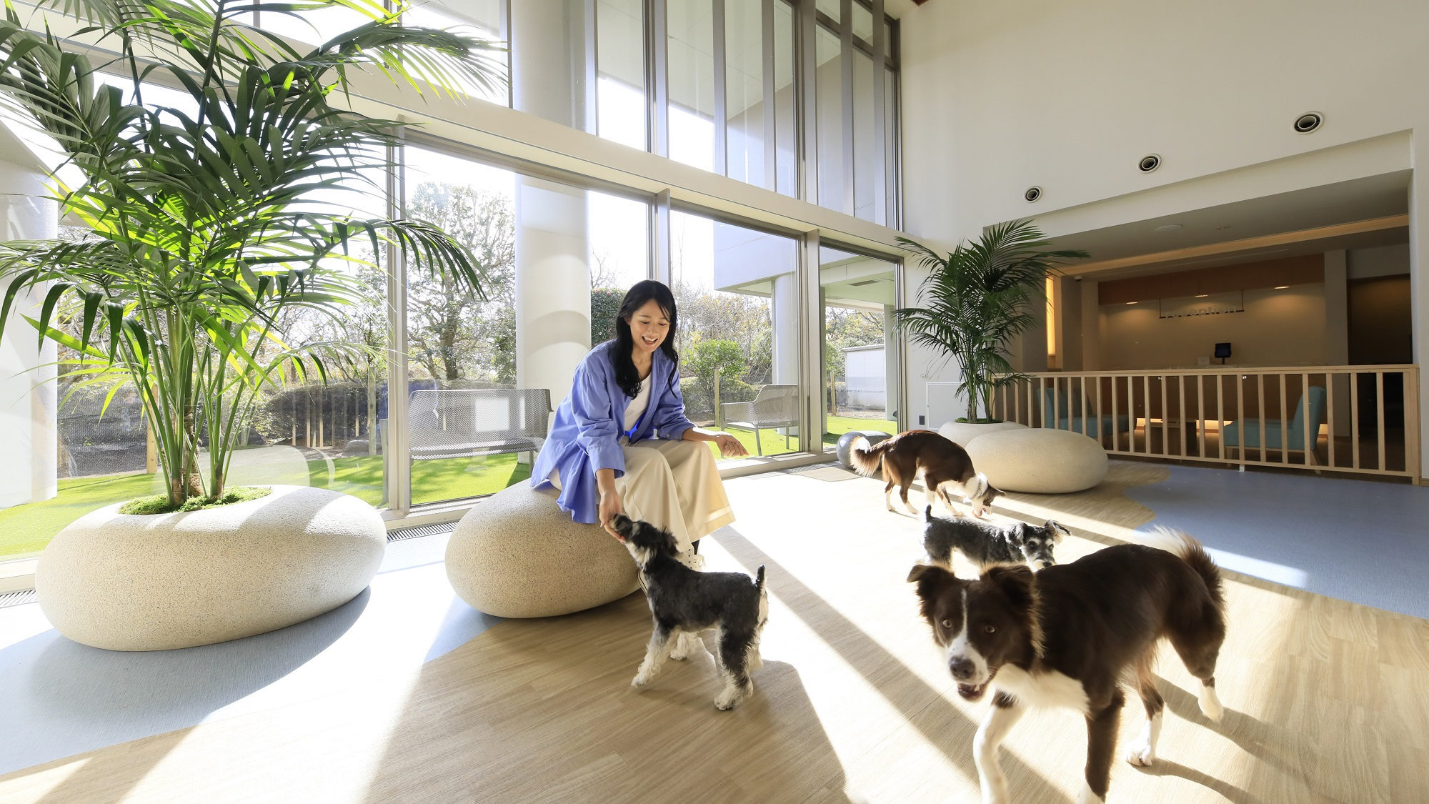 【お盆×部屋食】≪8/8-8/15限定≫愛犬と一緒お部屋でゆったりと夕食をお愉しみ＜■特選鍋会席＞