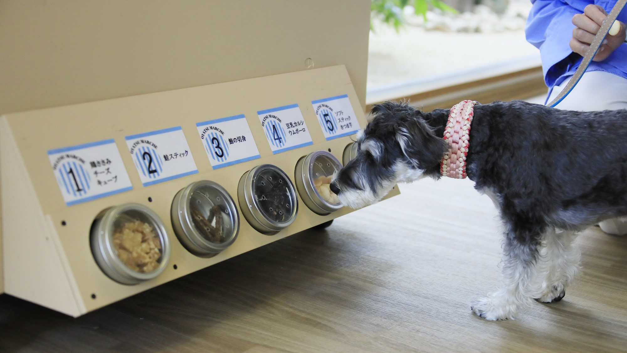 【ライト鍋会席】量控えめでお気軽ステイを堪能！愛犬とゆるりと過ごす熱海旅＜▼ライト鍋会席＞