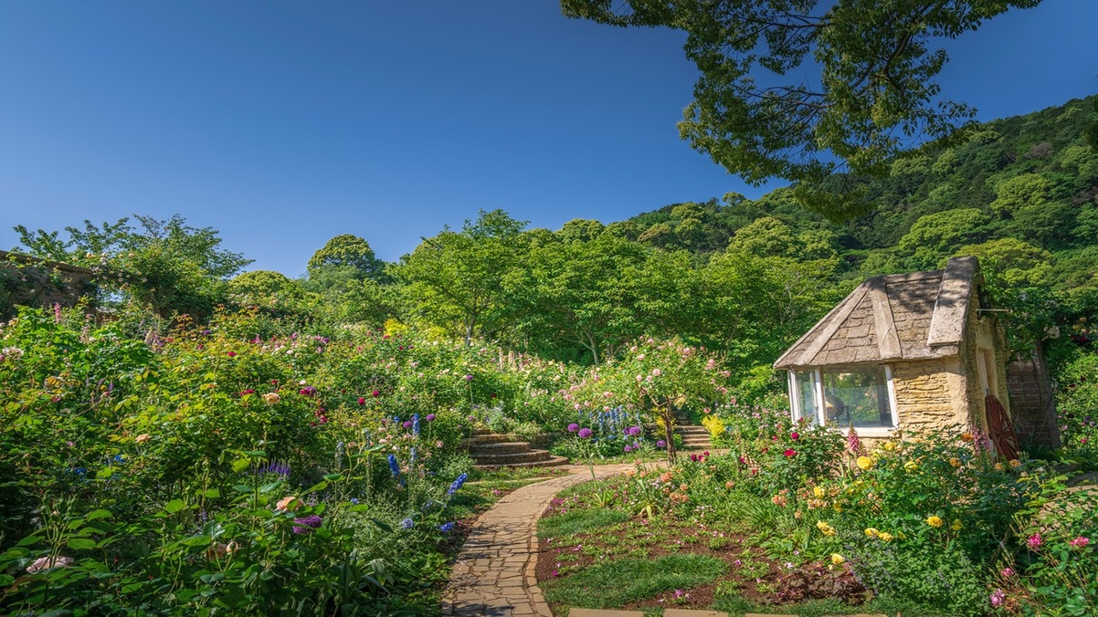 【愛犬とおでかけ】＊4/25〜6/14対象＊アカオフォレスト入園券＆ペット入園無料券＜★基本鍋会席＞