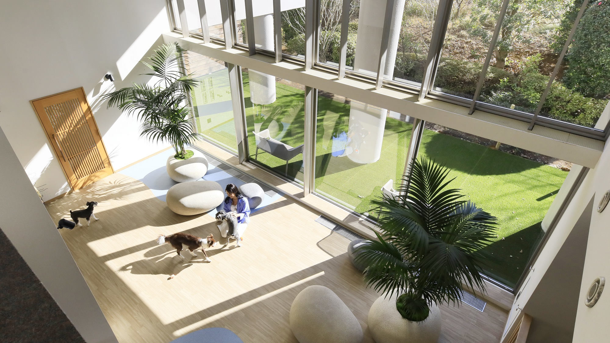 【屋内ドッグラン】チェックインの後はひと走り