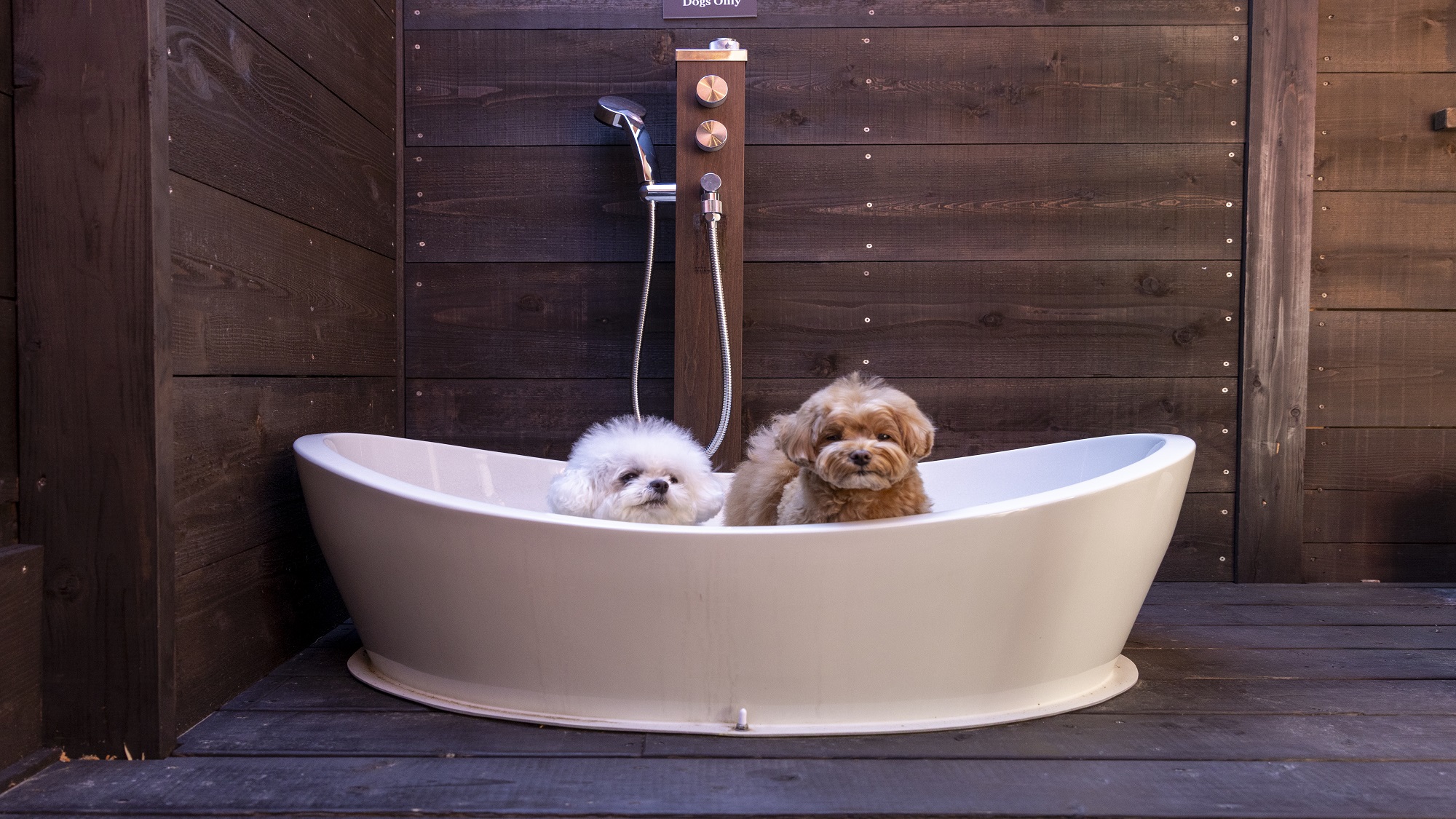 ペット用お風呂