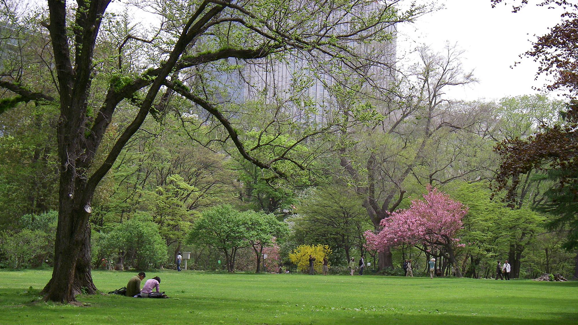 【北海道大学植物園】＜徒歩約20分＞明治9年（1886年）に開園した、日本で2番目に古い植物園