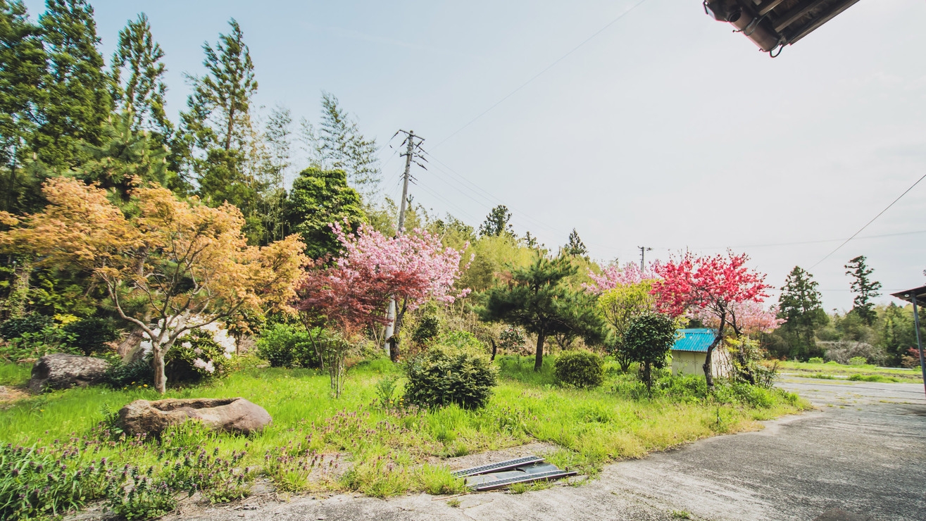 【佐渡一棟貸切】四季を彩る絶景の庭と独特の世界観のアートを楽しめる宿／付近温泉ありー素泊まりプランー