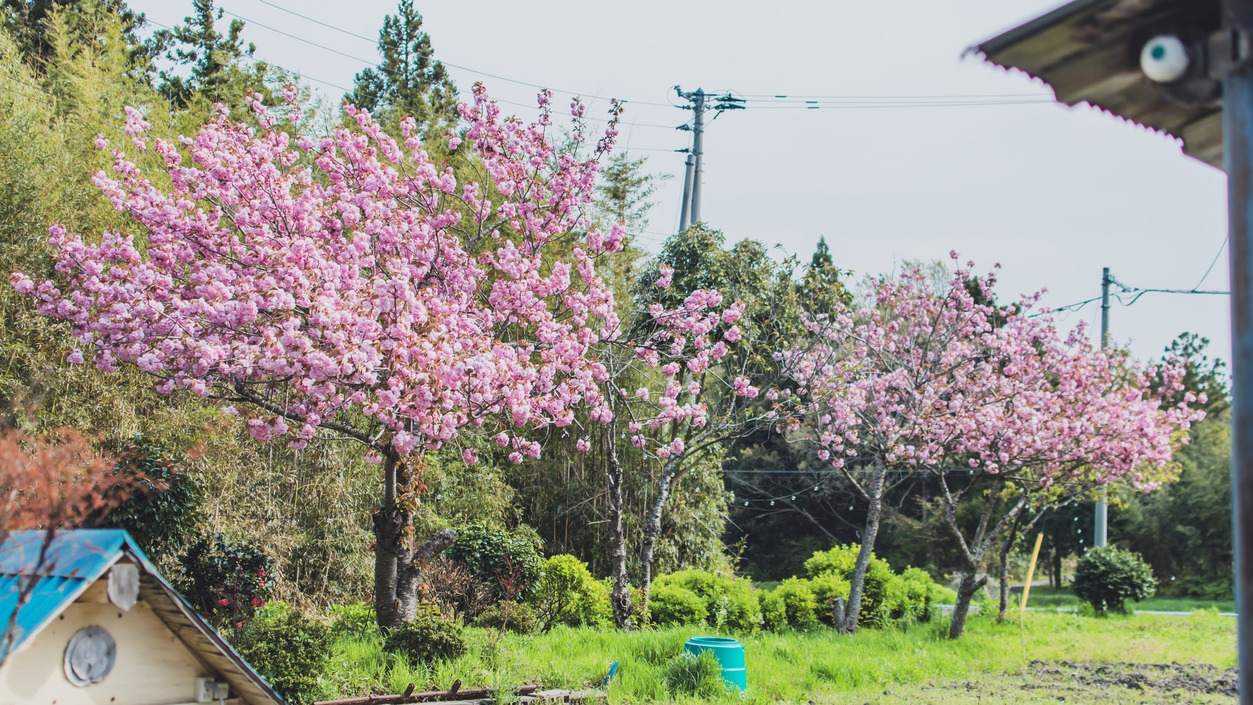 【佐渡一棟貸切】四季を彩る絶景の庭と独特の世界観のアートを楽しめる宿／付近温泉ありー素泊まりプランー