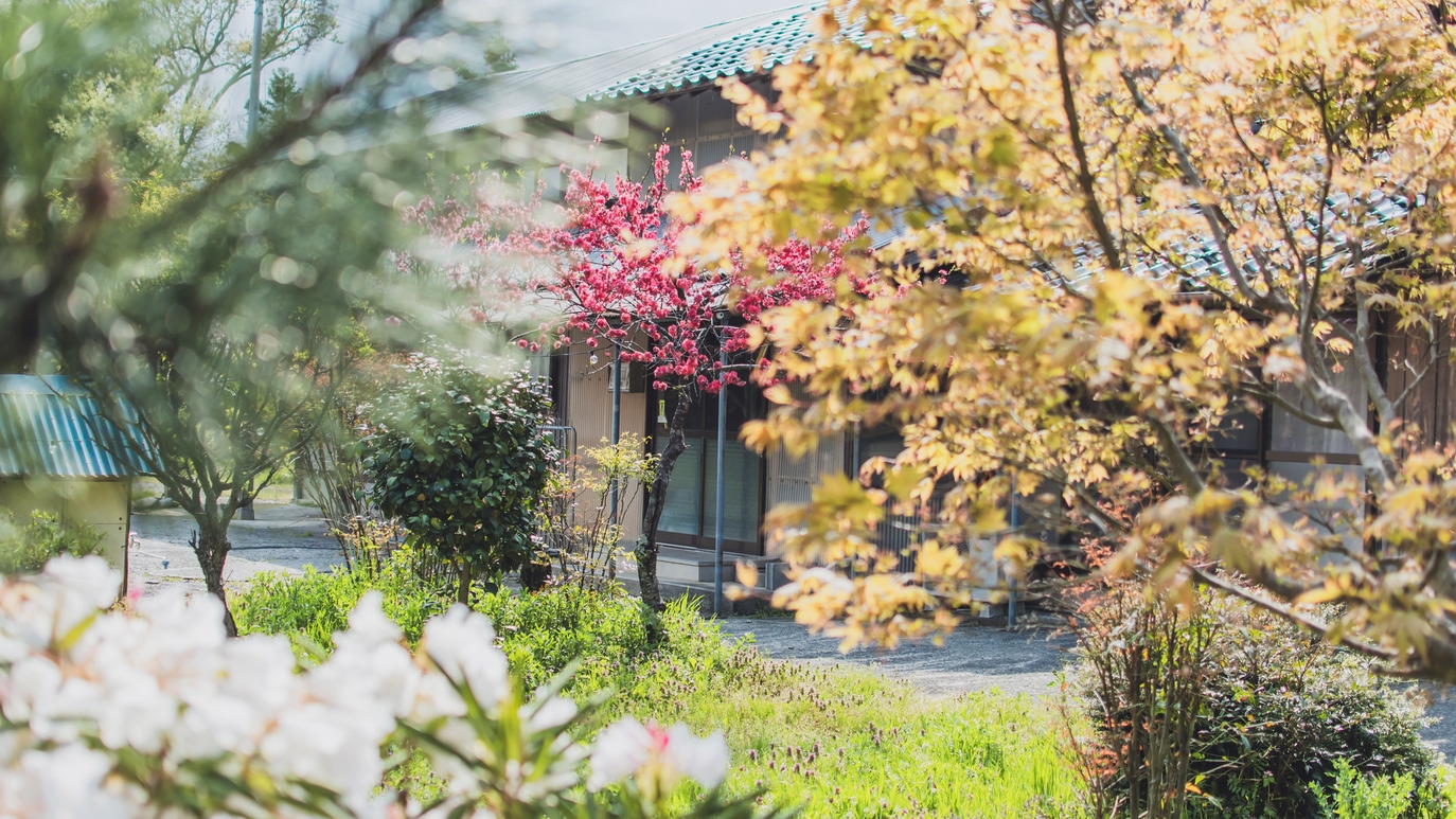【佐渡一棟貸切】四季を彩る絶景の庭と独特の世界観のアートを楽しめる宿／付近温泉ありー素泊まりプランー