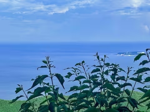 【一般宿泊プラン】熱海の中心地までも車でラクラク！オーシャンビューの絶景＆温泉を独占！！一棟貸切