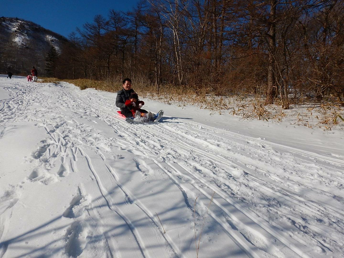 雪が積もればキスゲ平でそり遊びも！