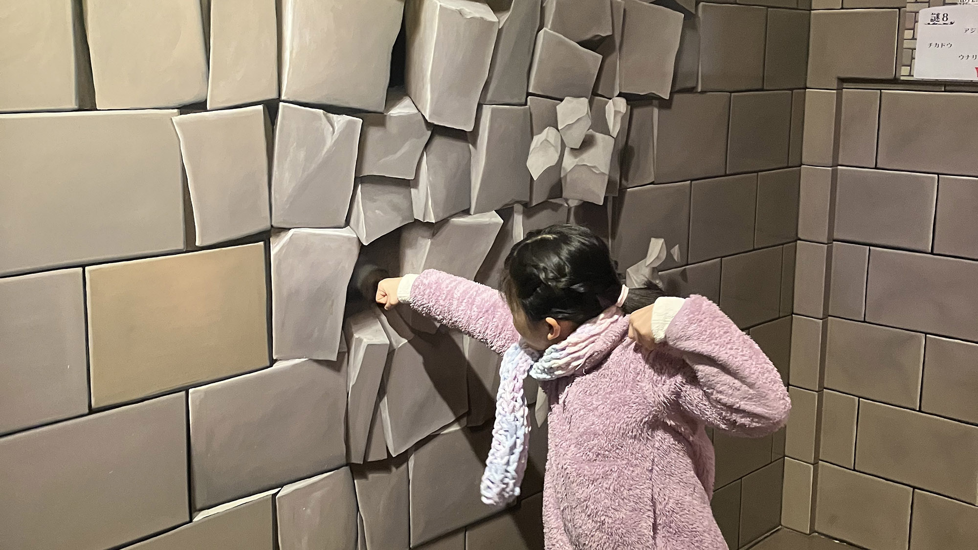 ・【周辺】「とりっくあーとぴあ日光」で不思議体験！雨でも安心して遊べます