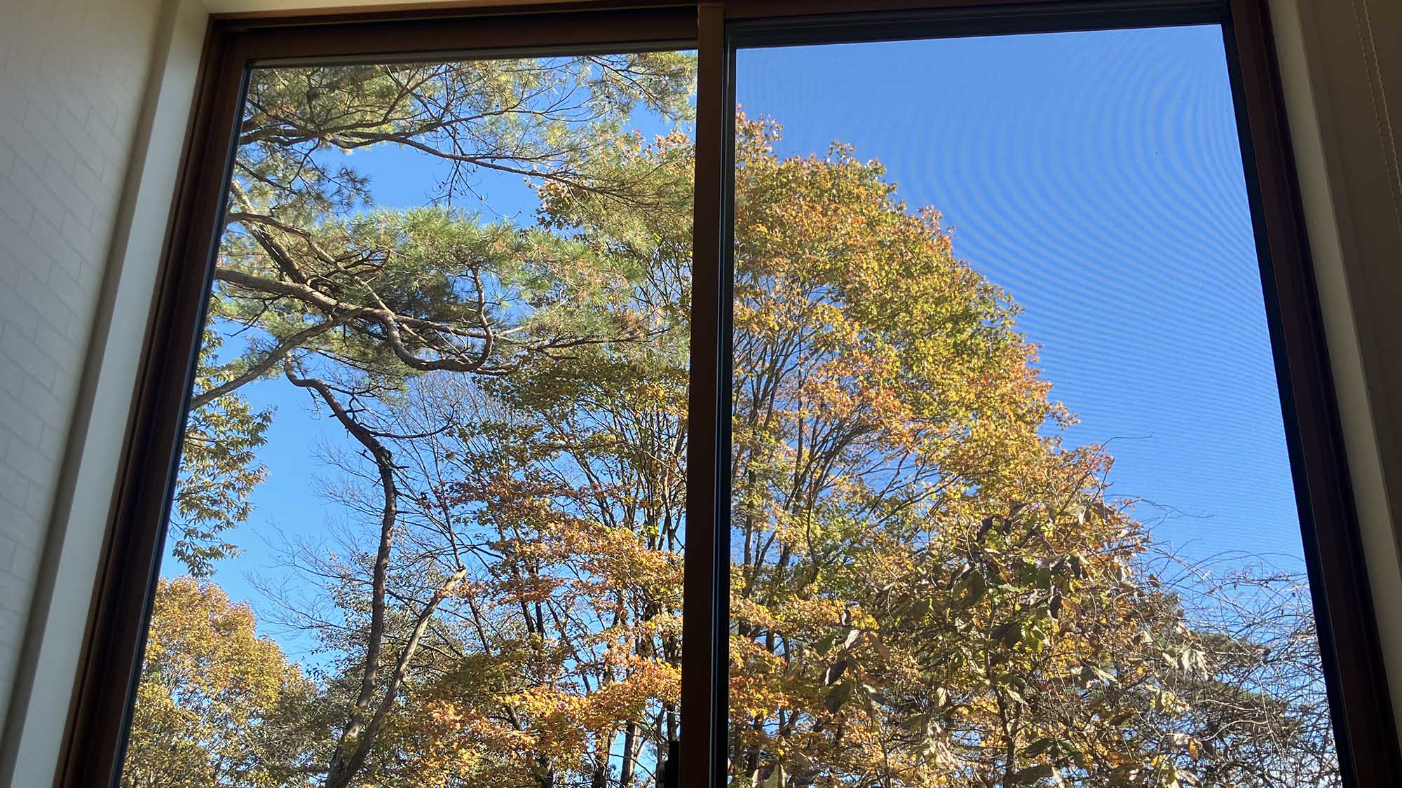 ・【周辺】紅葉の季節には、窓から眺めてご満喫いただくことができます