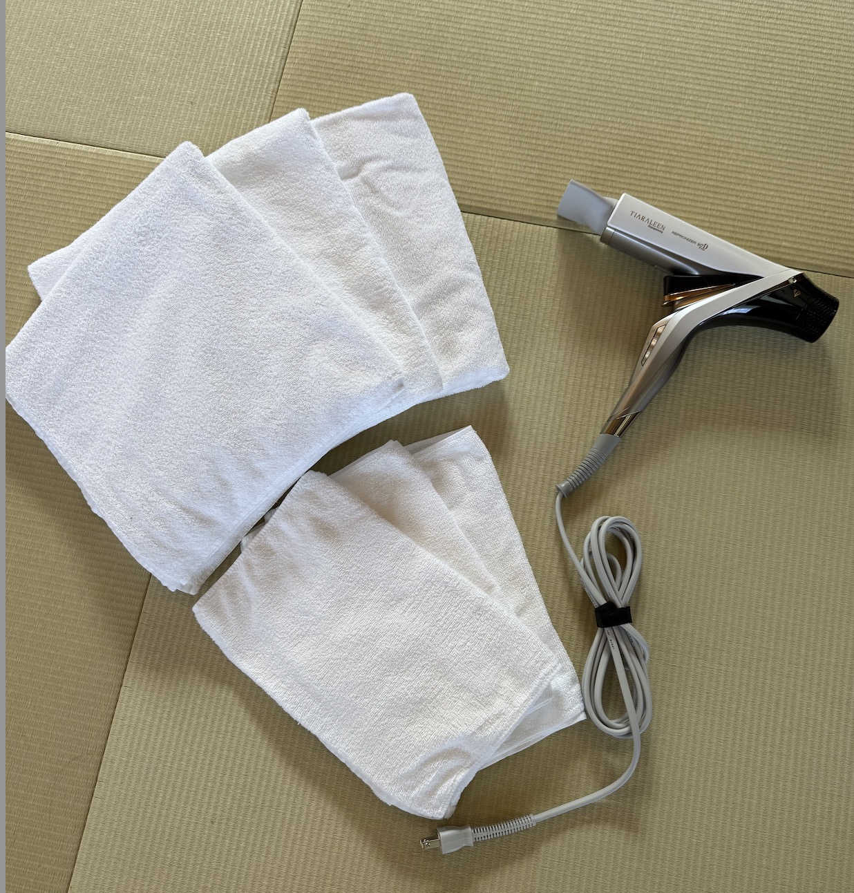 レプロナイザー107D Plus