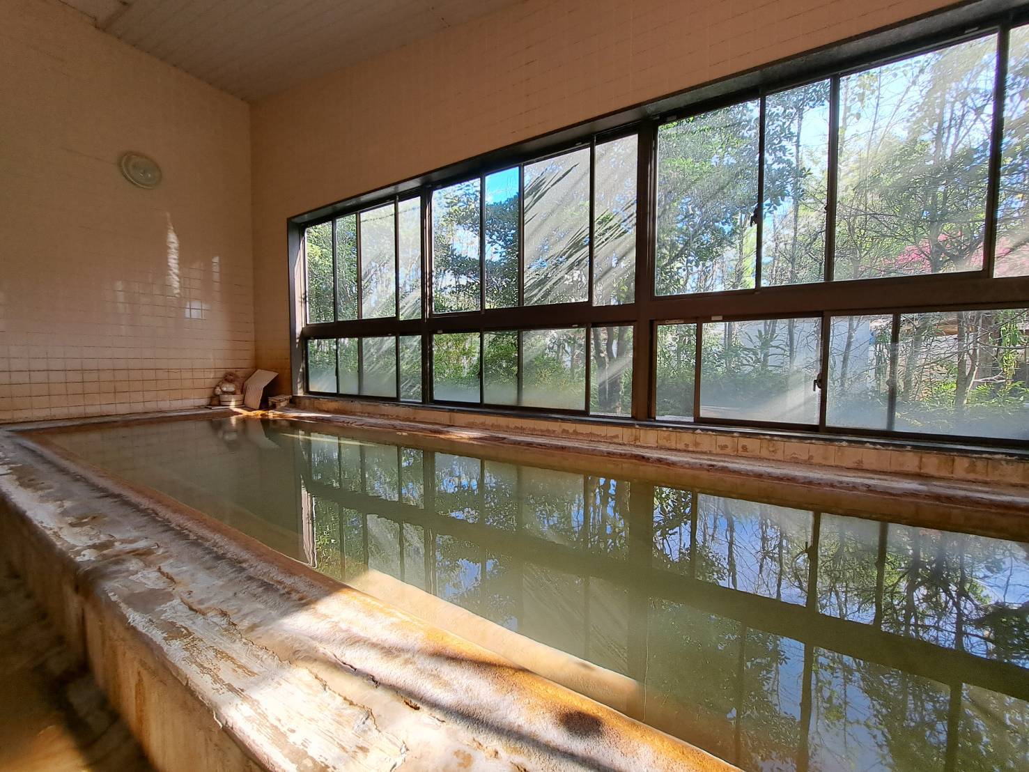 【金山から湧き出る天然温泉が自慢】 スタンダード和室でお手頃プラン（素泊まり）