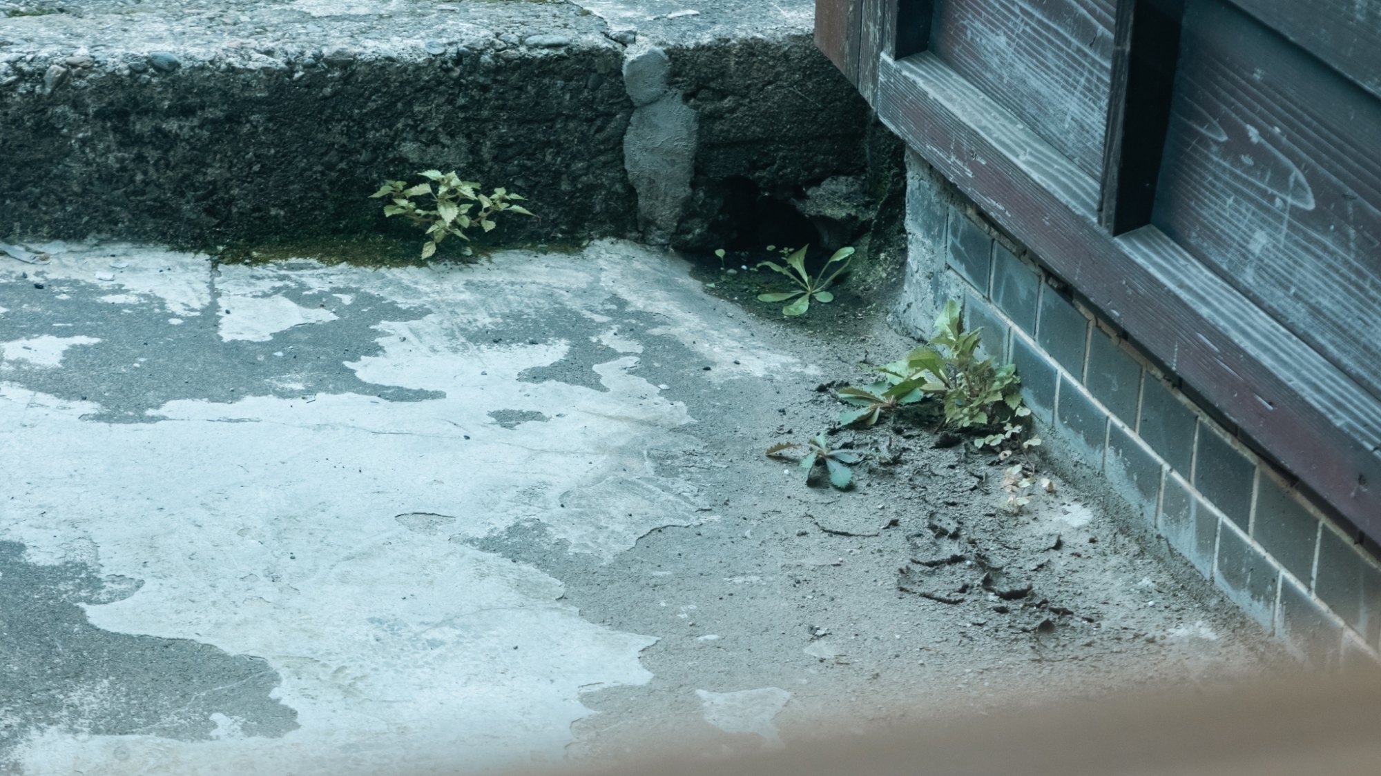 *【施設】何気ない景色の中にも、四季折々の美しさが広がります。