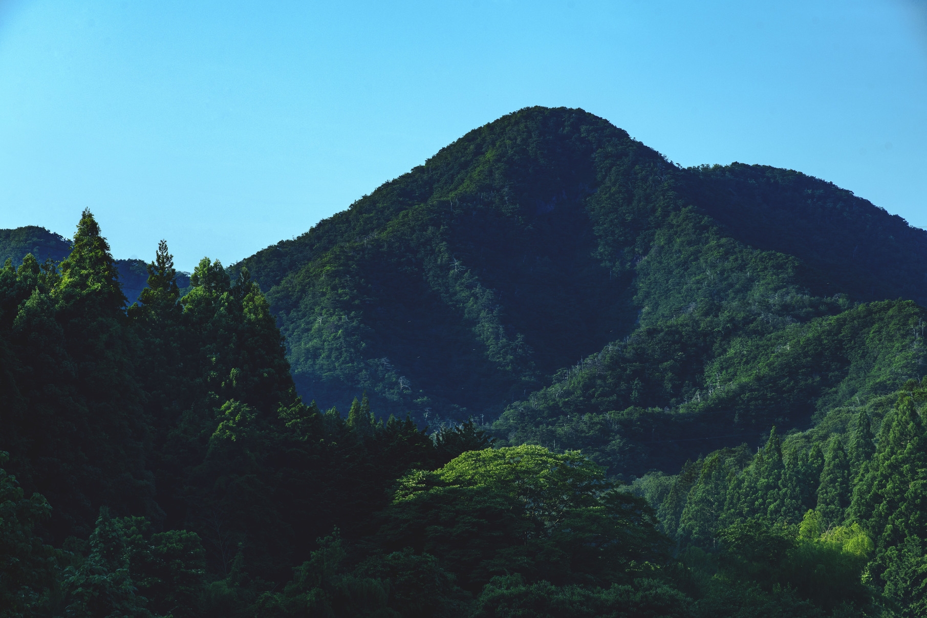 【5泊以上で10％OFF】里山ロングステイ