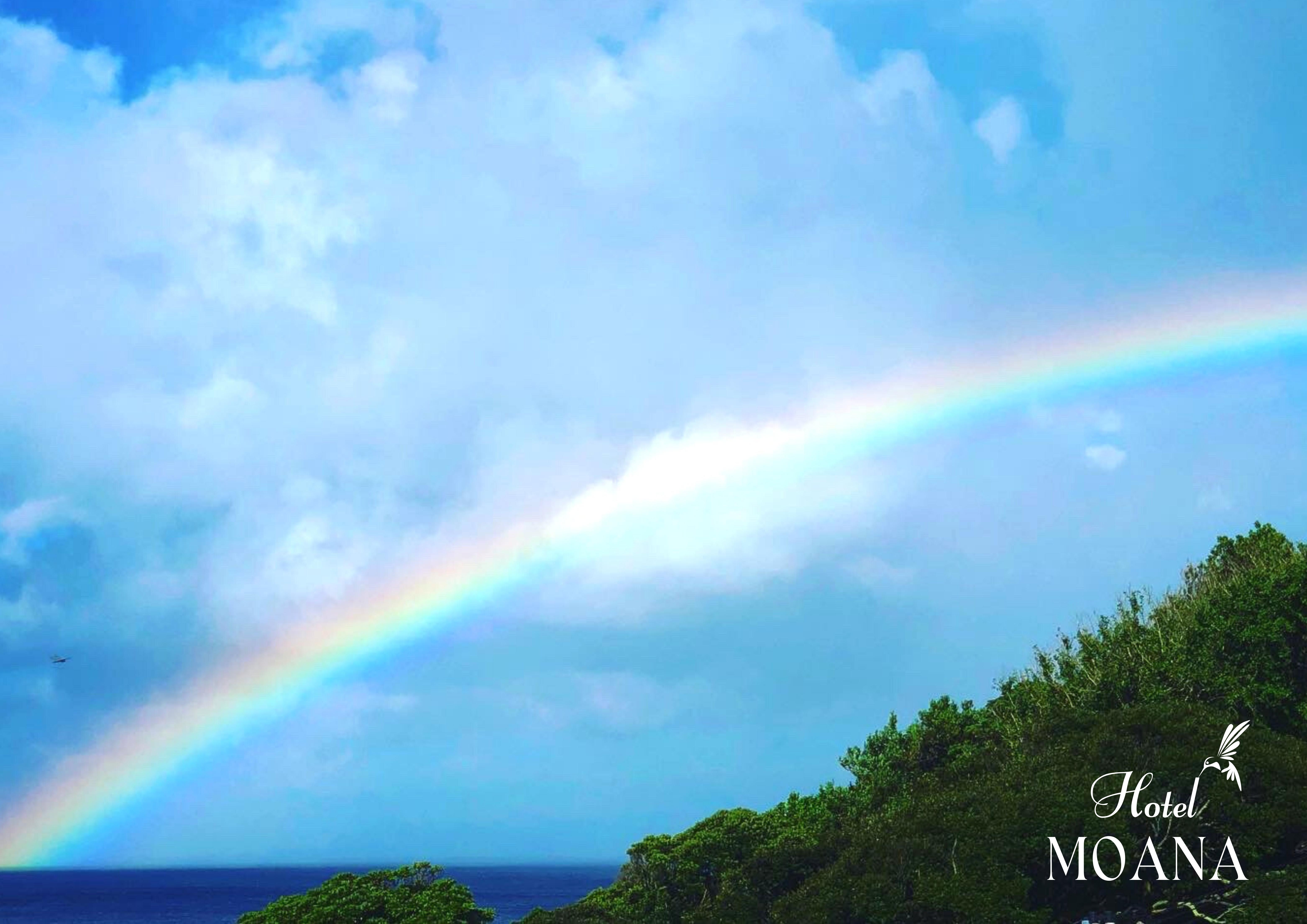施設からの眺め