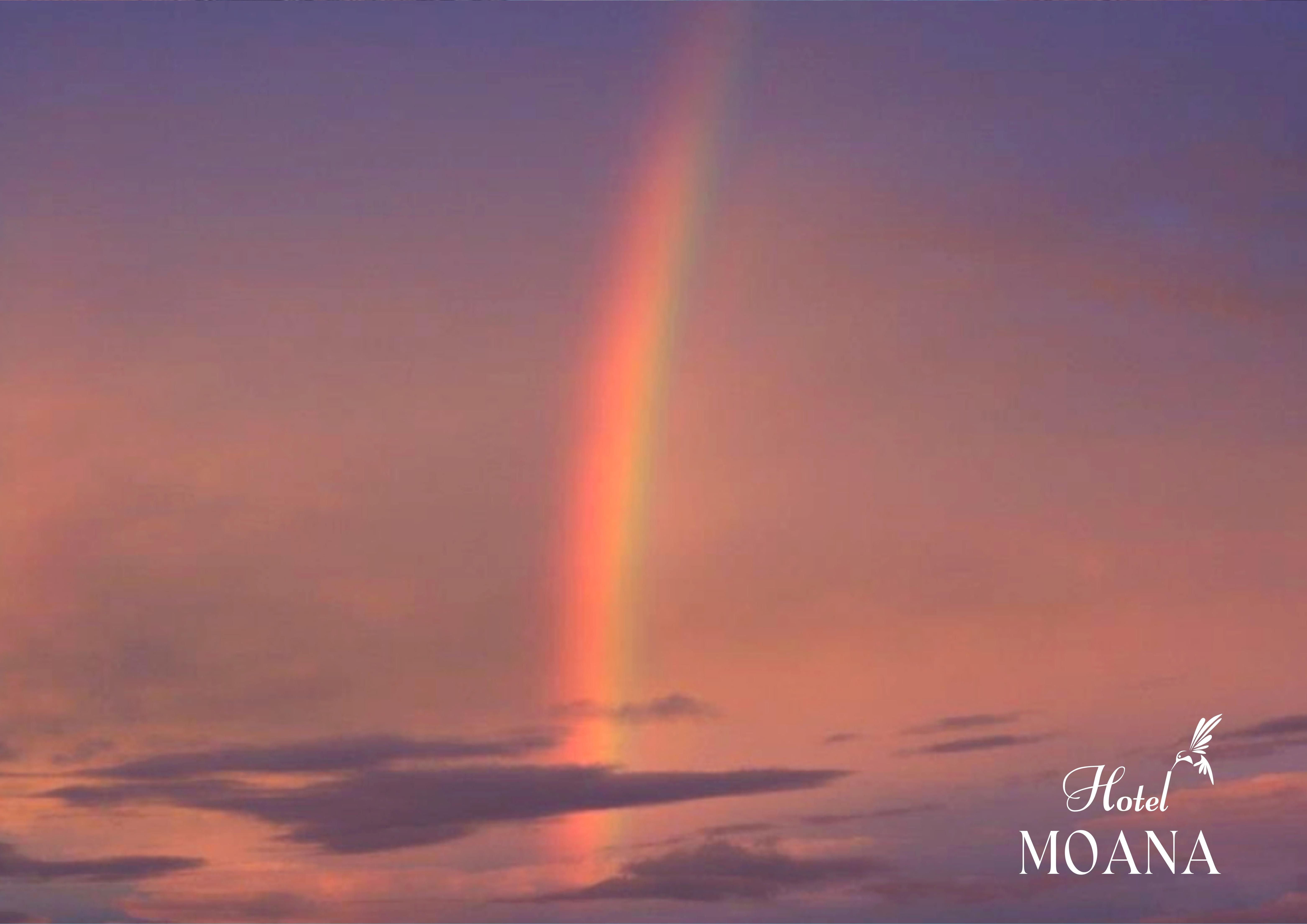 施設からの眺め