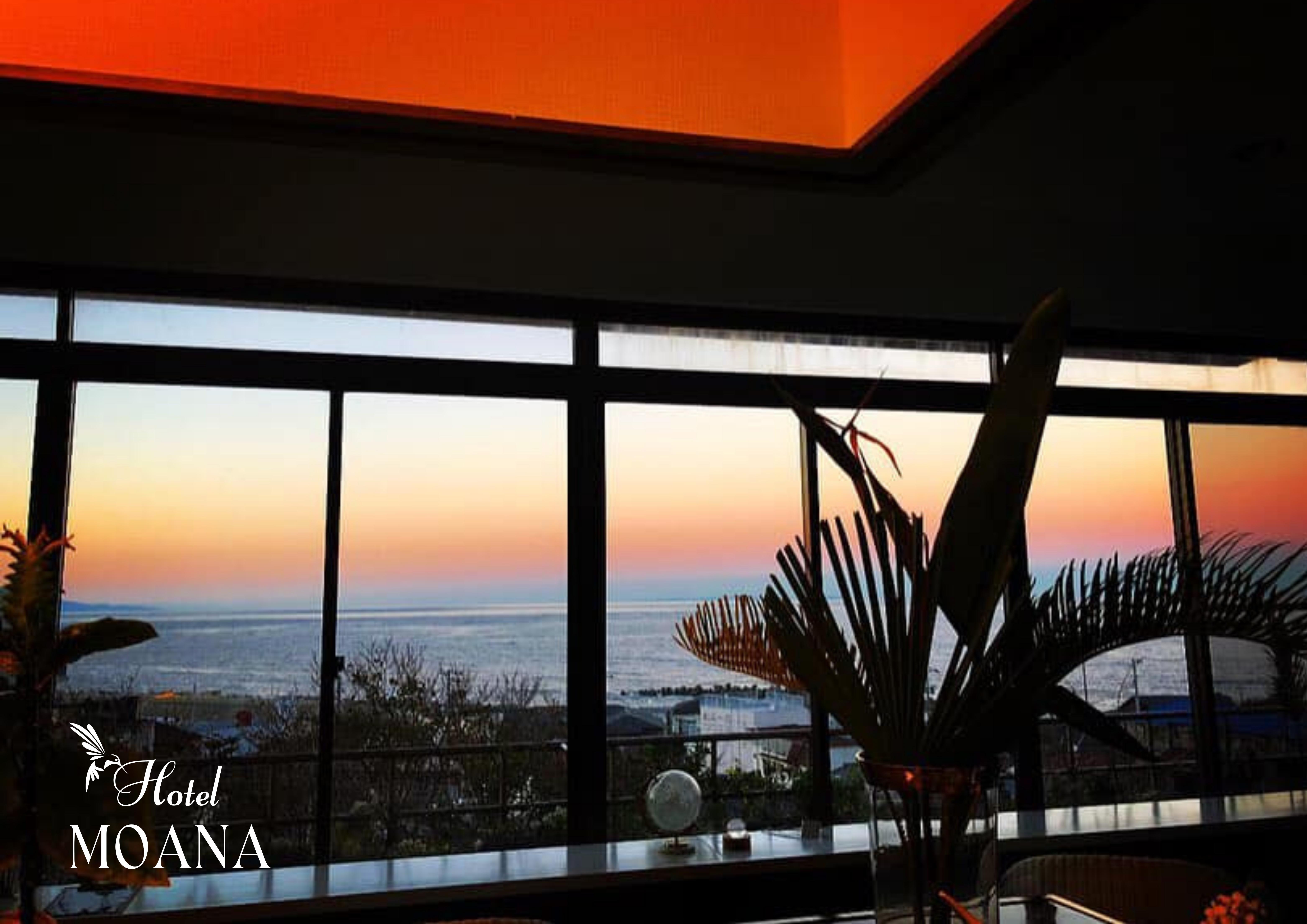 施設からの眺め