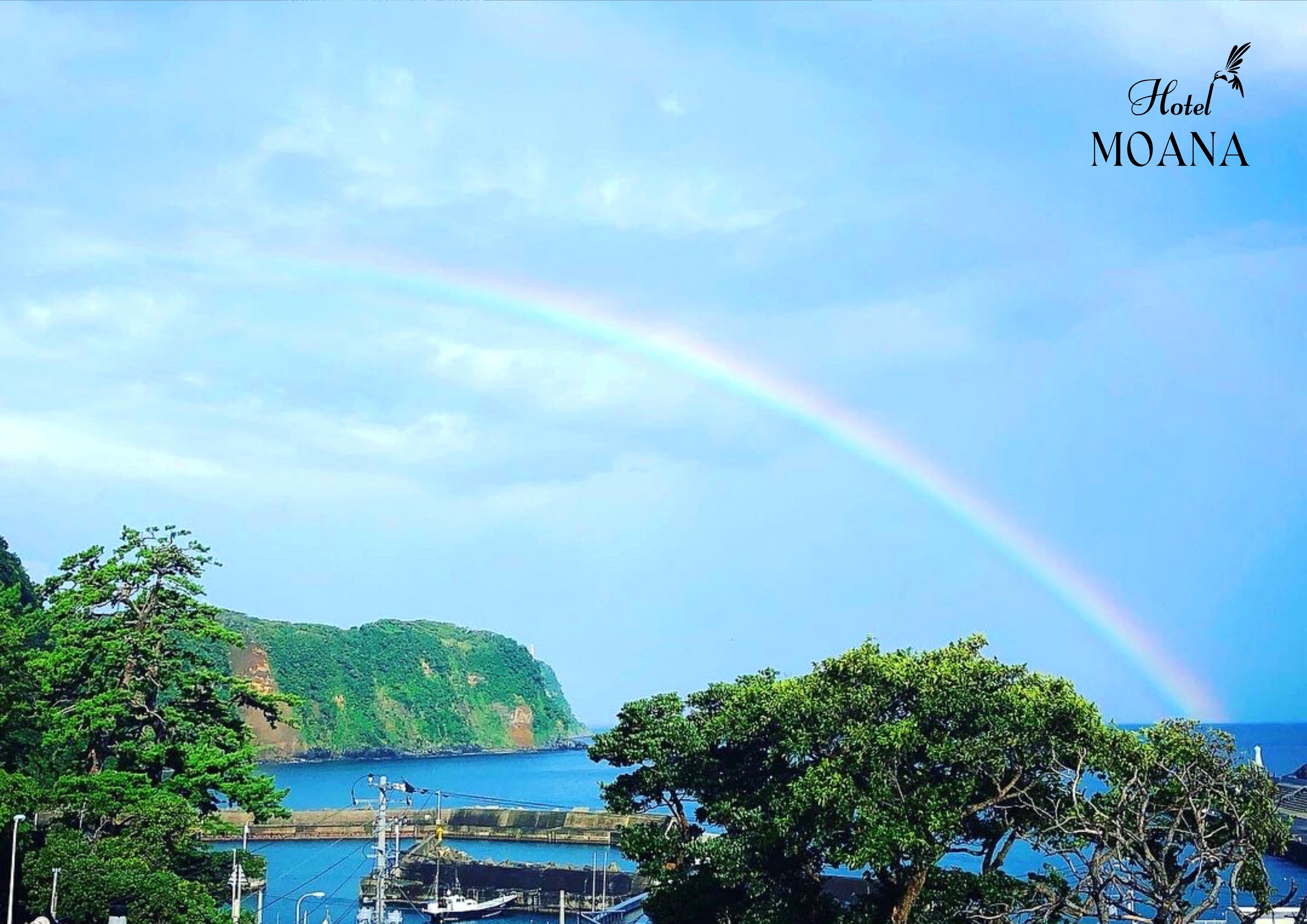 施設からの眺め