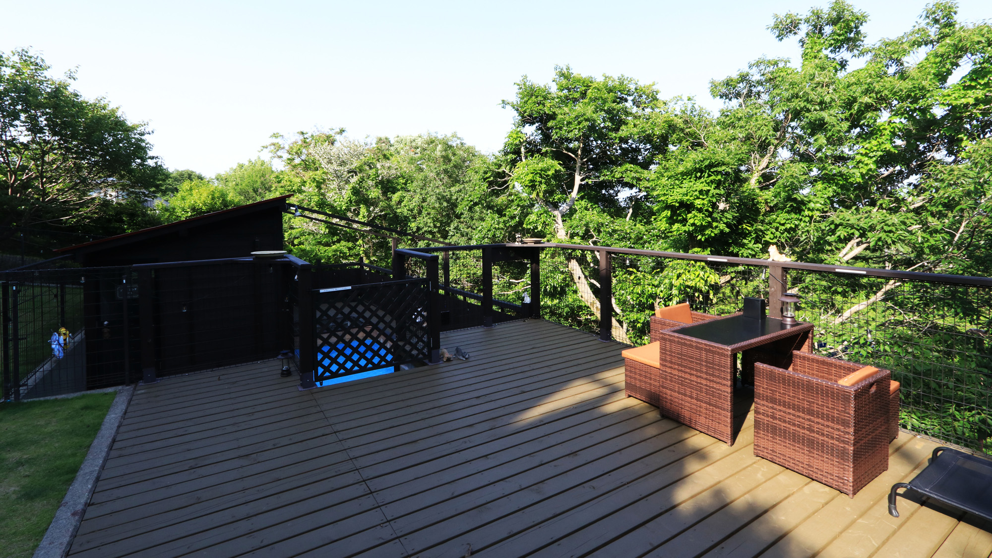 ドッグラン横に併設されている温水プールです*