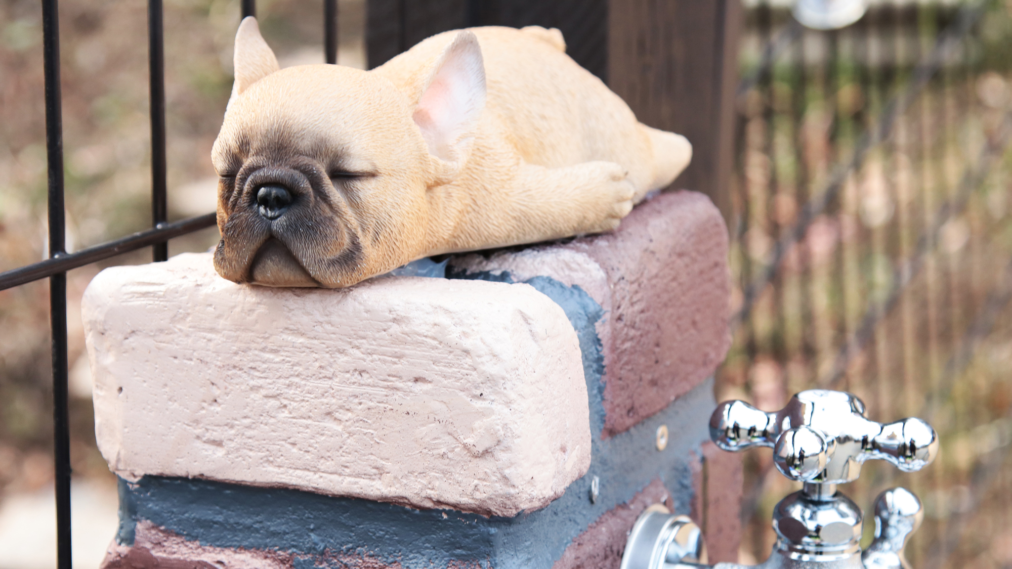 【ドッグラン】足洗いや飲み水としての水道も完備！*