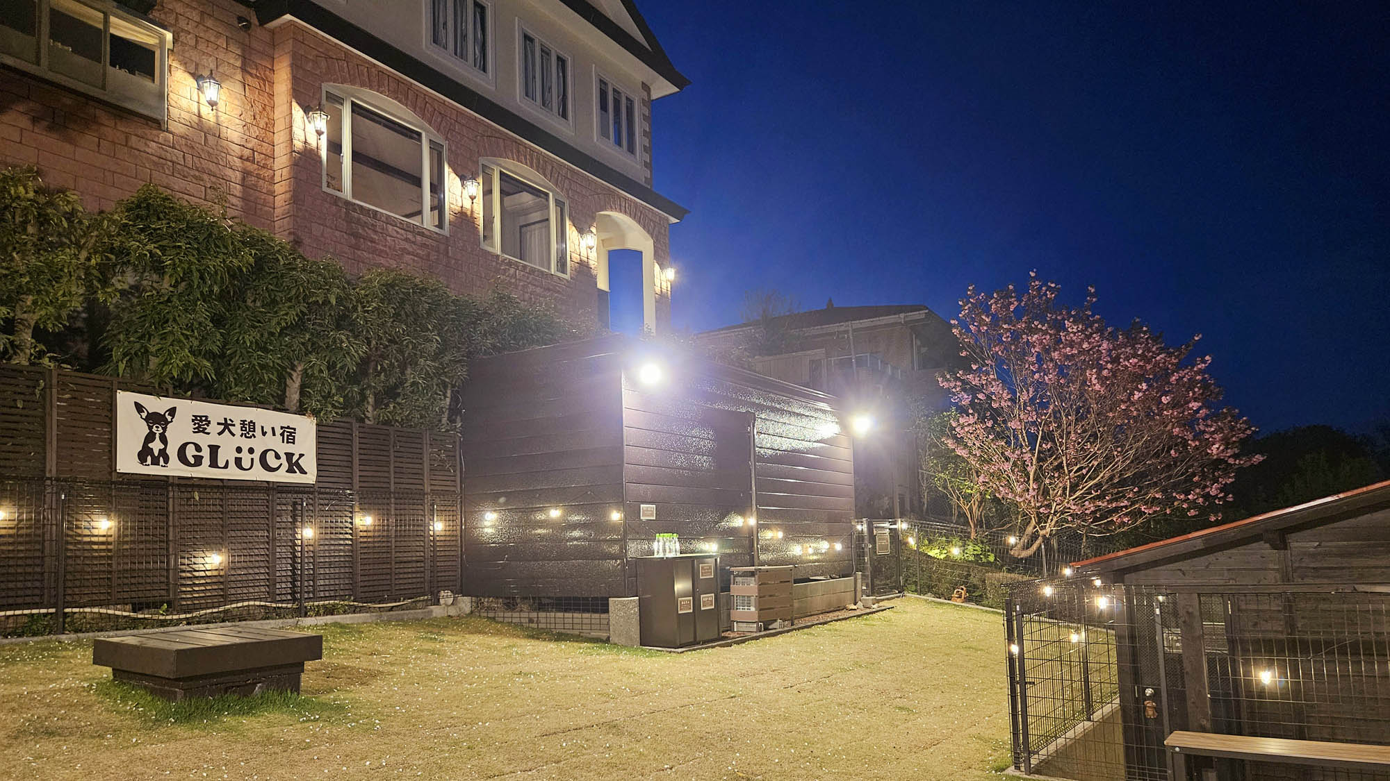 夜にはライトアップされる専用ドッグランからの外観