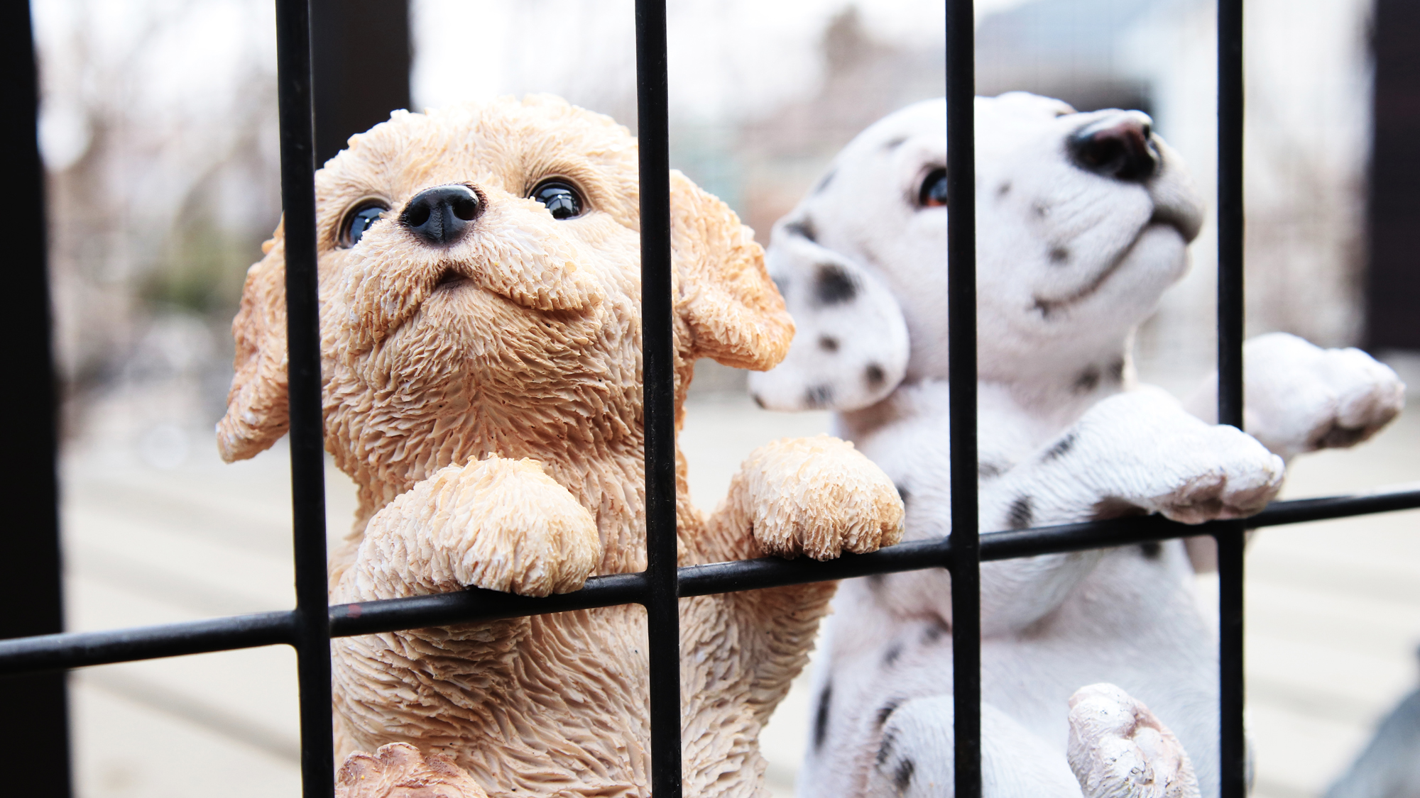 【ドッグラン】かわいい装飾たちもたくさん♪*