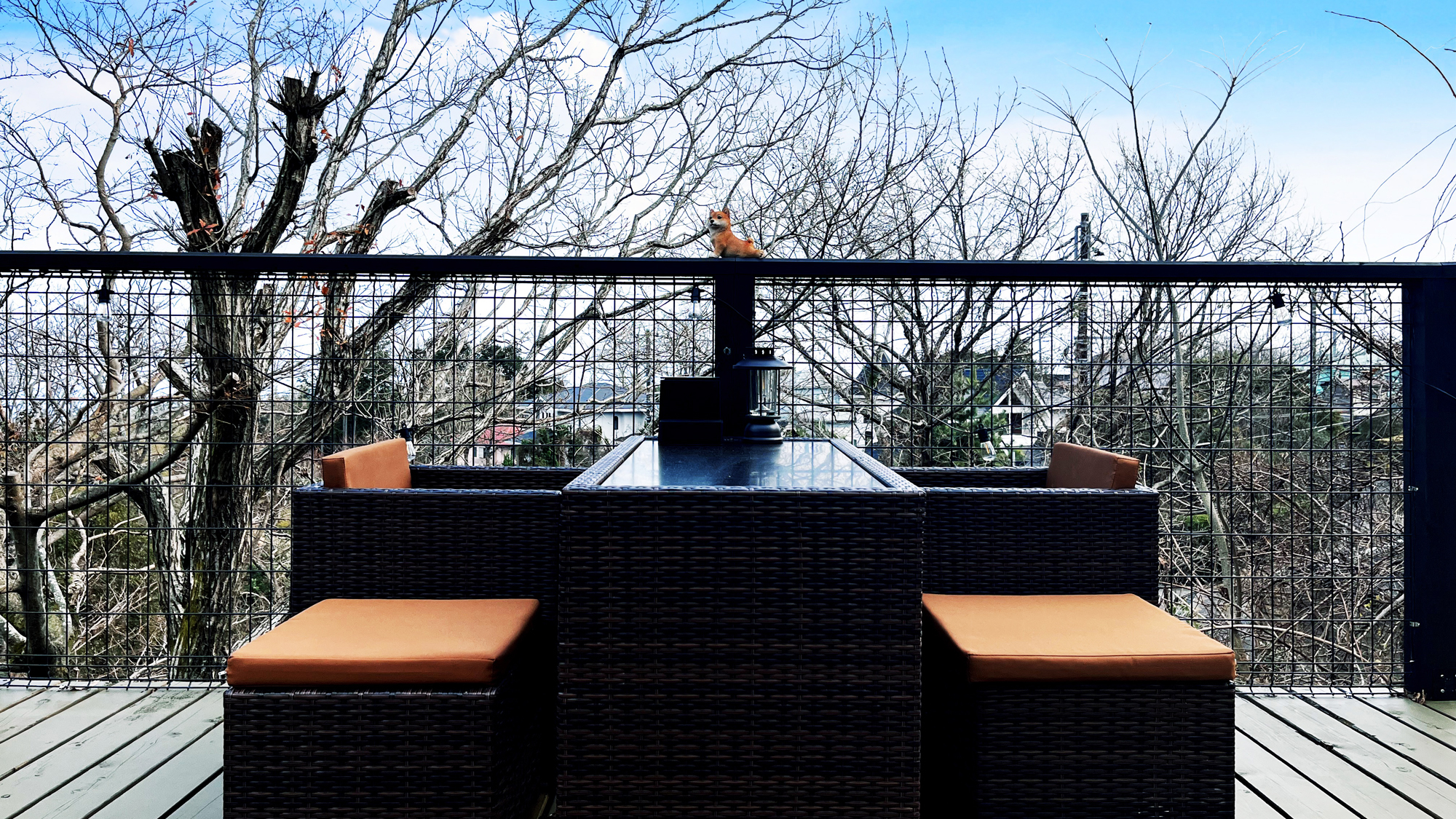 【ドッグラン】談話しながらワンちゃんが遊ぶところを見ることが出来ます*