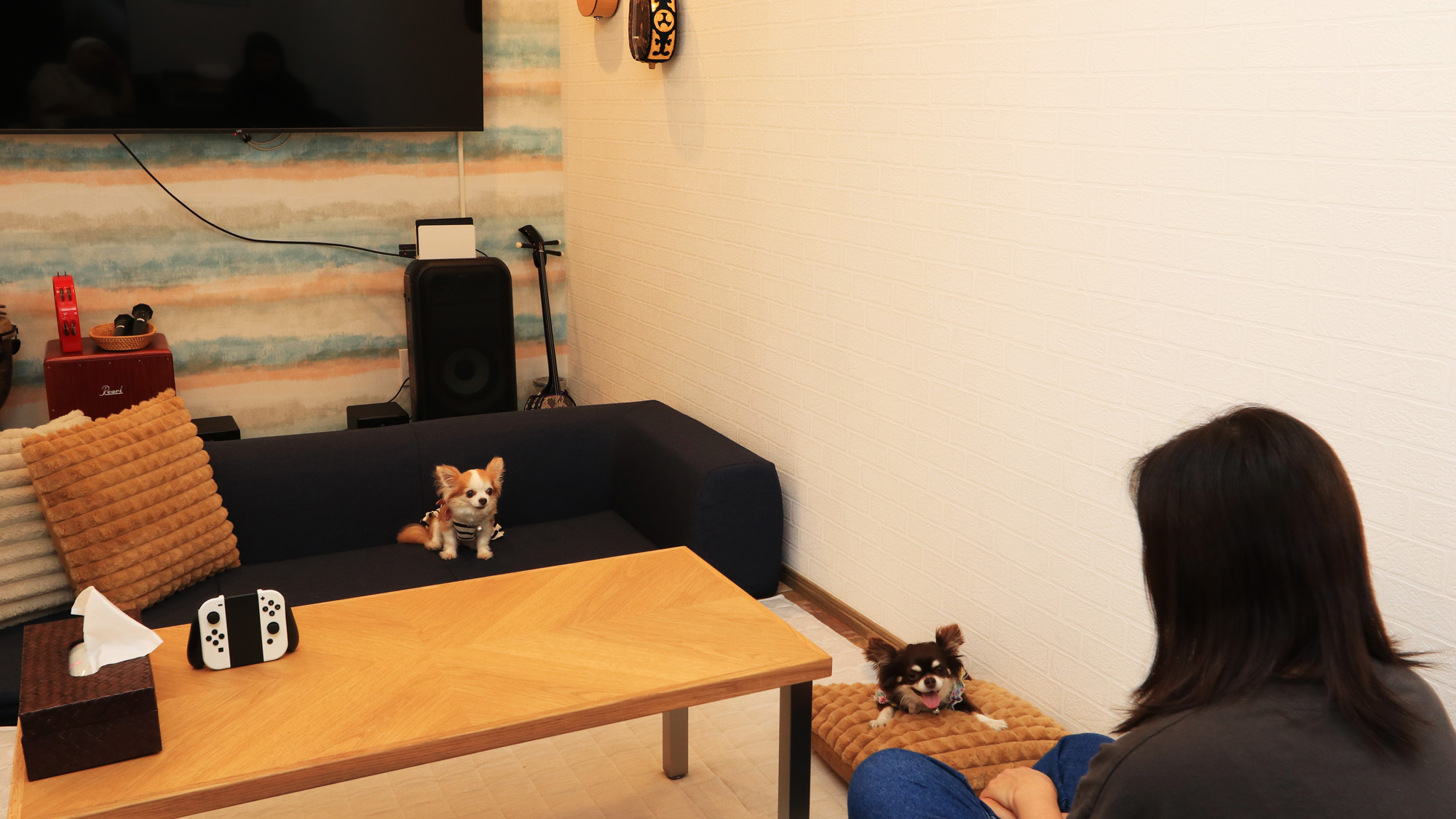 【プレイルーム】ワンちゃんも飼い主さんたちも遊び足りない・話足りない人たちはぜひご利用ください*