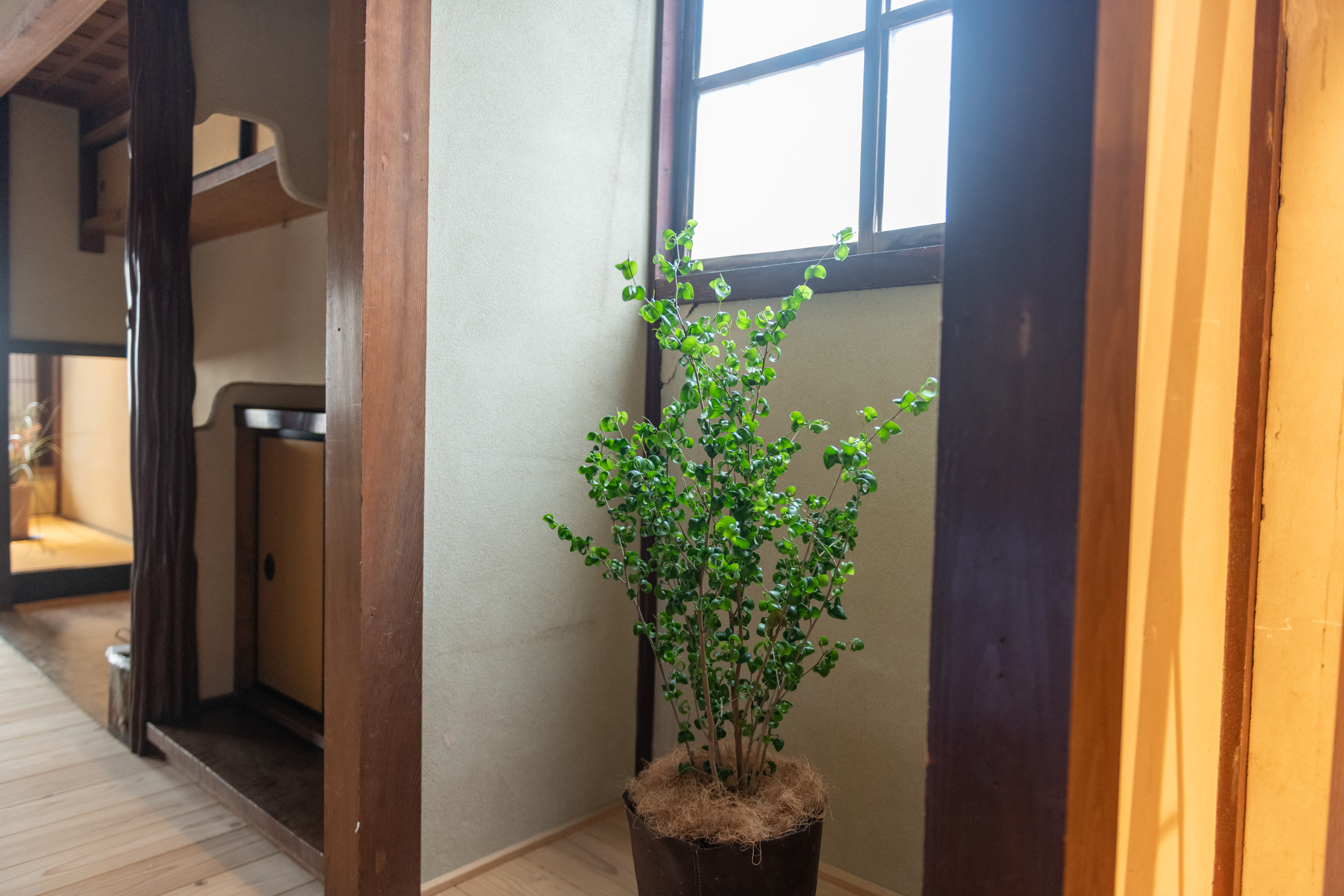 和室デラックスルームの室内写真