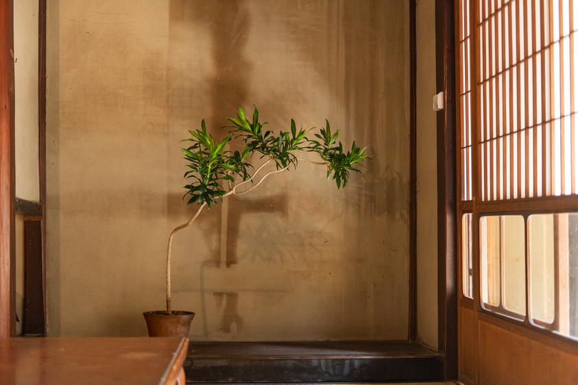 【無人チェックイン/禁煙】篠山城下町の中心街に位置する古民家を改修したゲストハウス