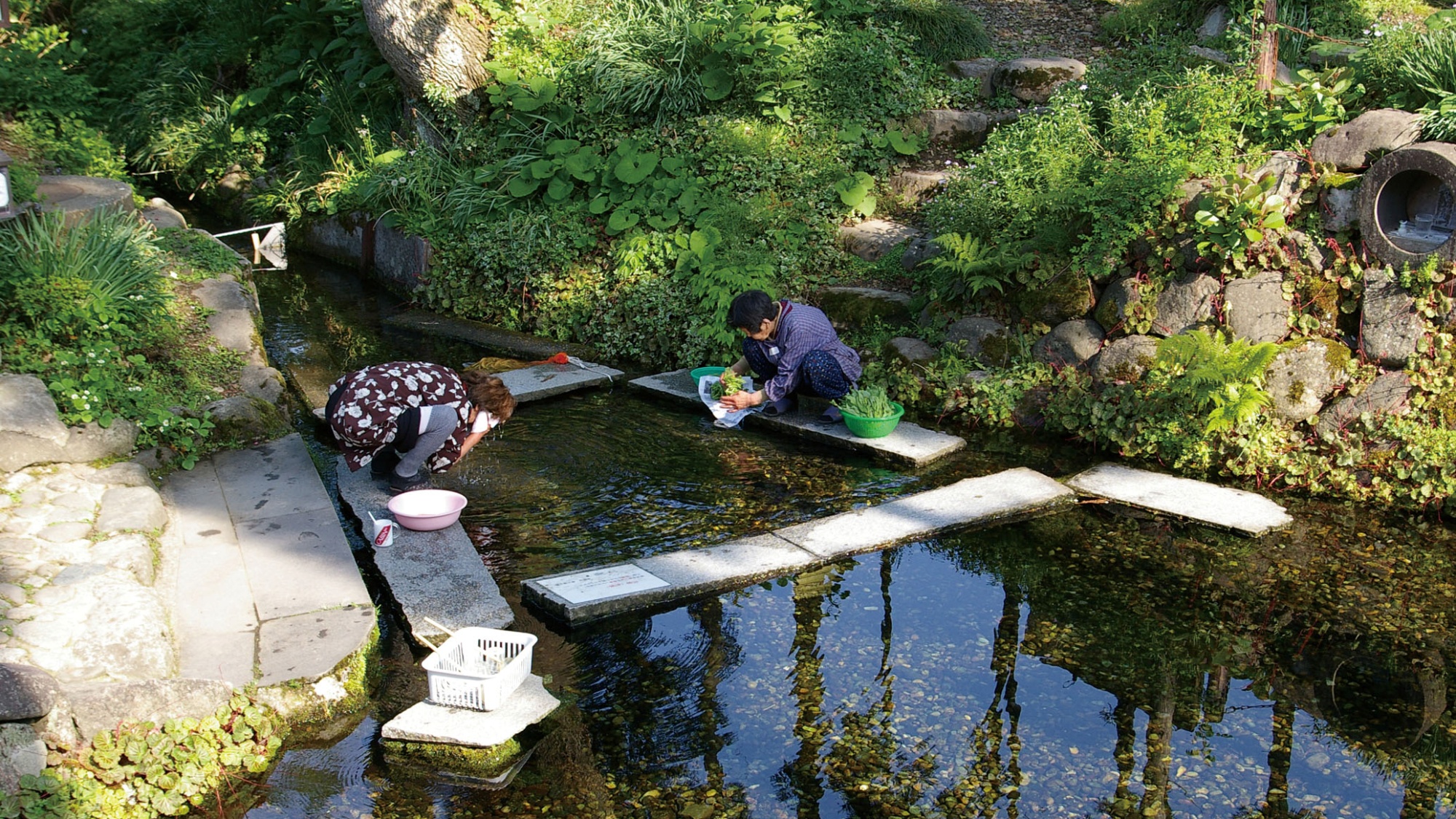 ■周辺観光｜日本名水百選『六郷湧水群』