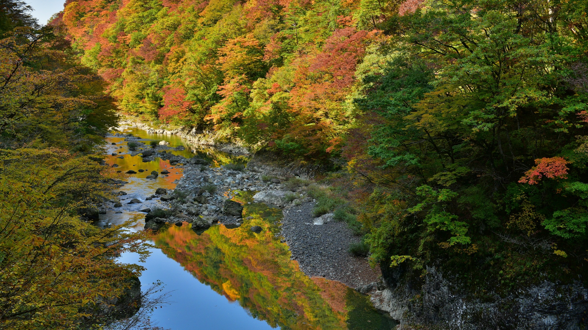 ■周辺観光｜紅葉の名所『抱返り渓谷』