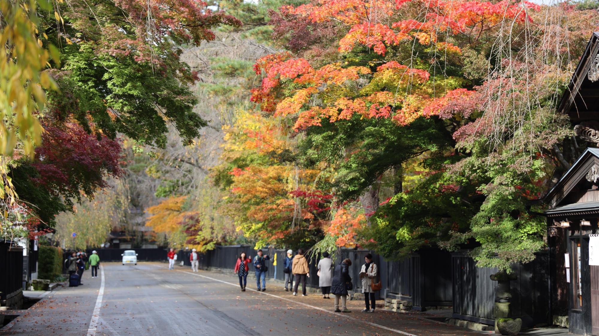 ■周辺観光｜角館武家屋敷の紅葉