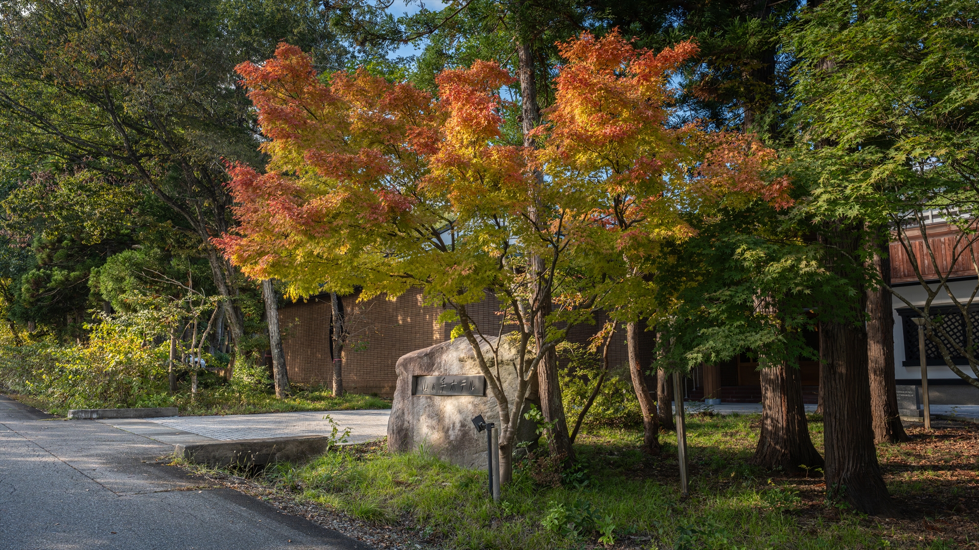 ■外観｜紅葉が迎える優雅なひととき