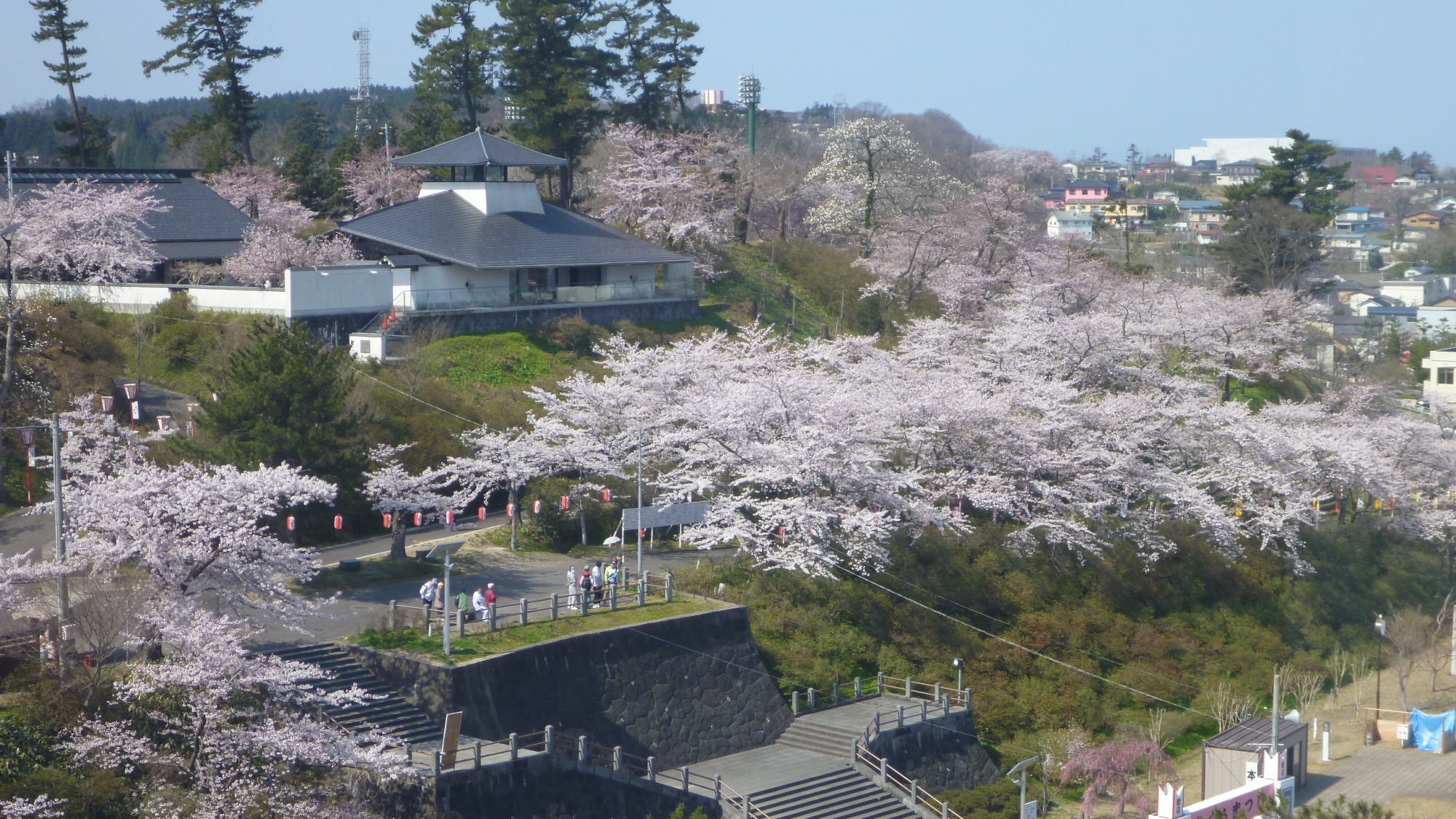 ■周辺観光｜本荘さくらまつり
