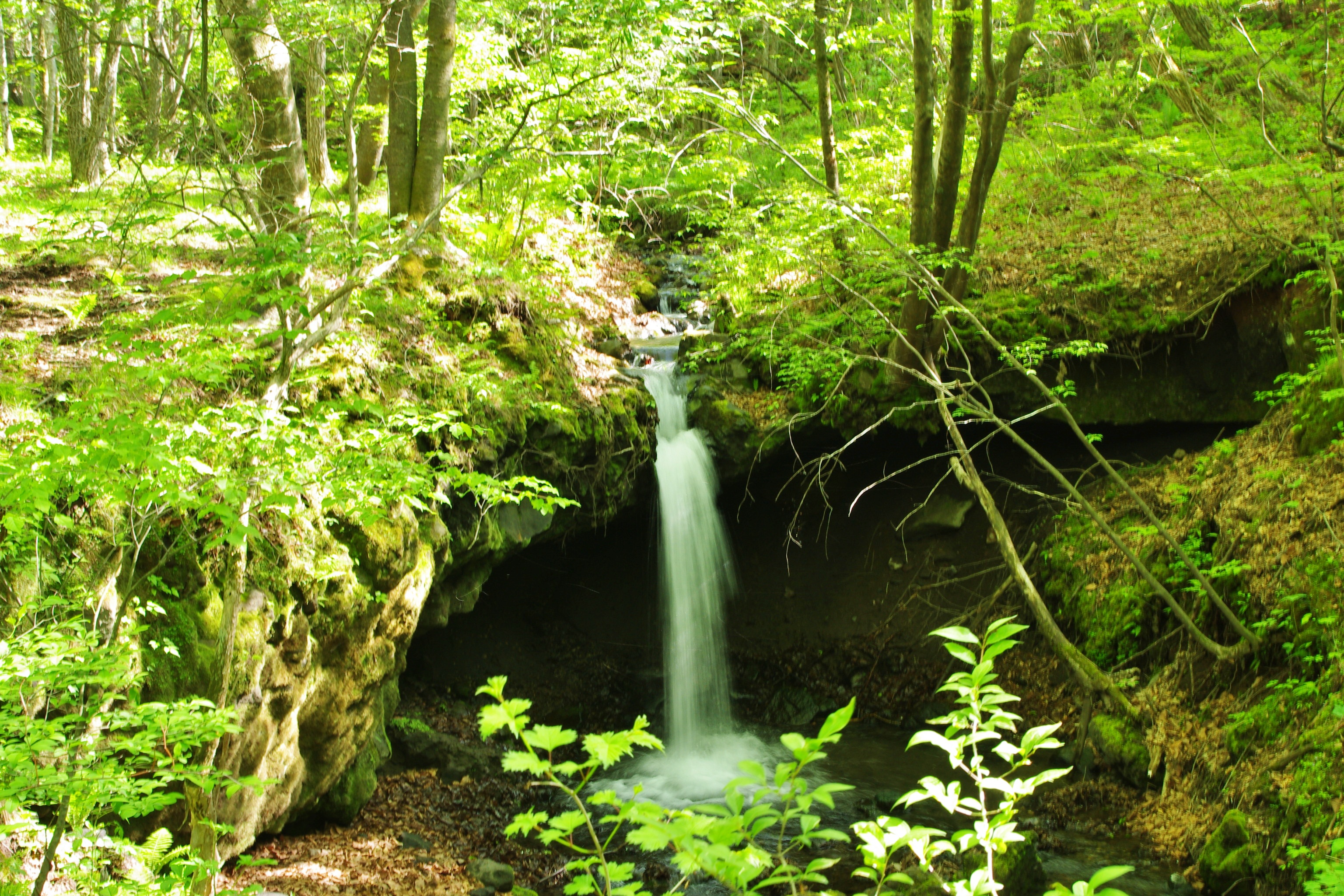 裏庭エリア　小さな滝
