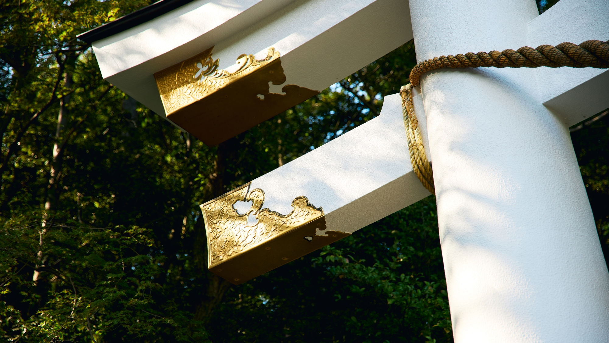 [周辺/宝登山神社]豊かな緑が広がる宝登山にある神社で、秩父三社の一社でもあります。