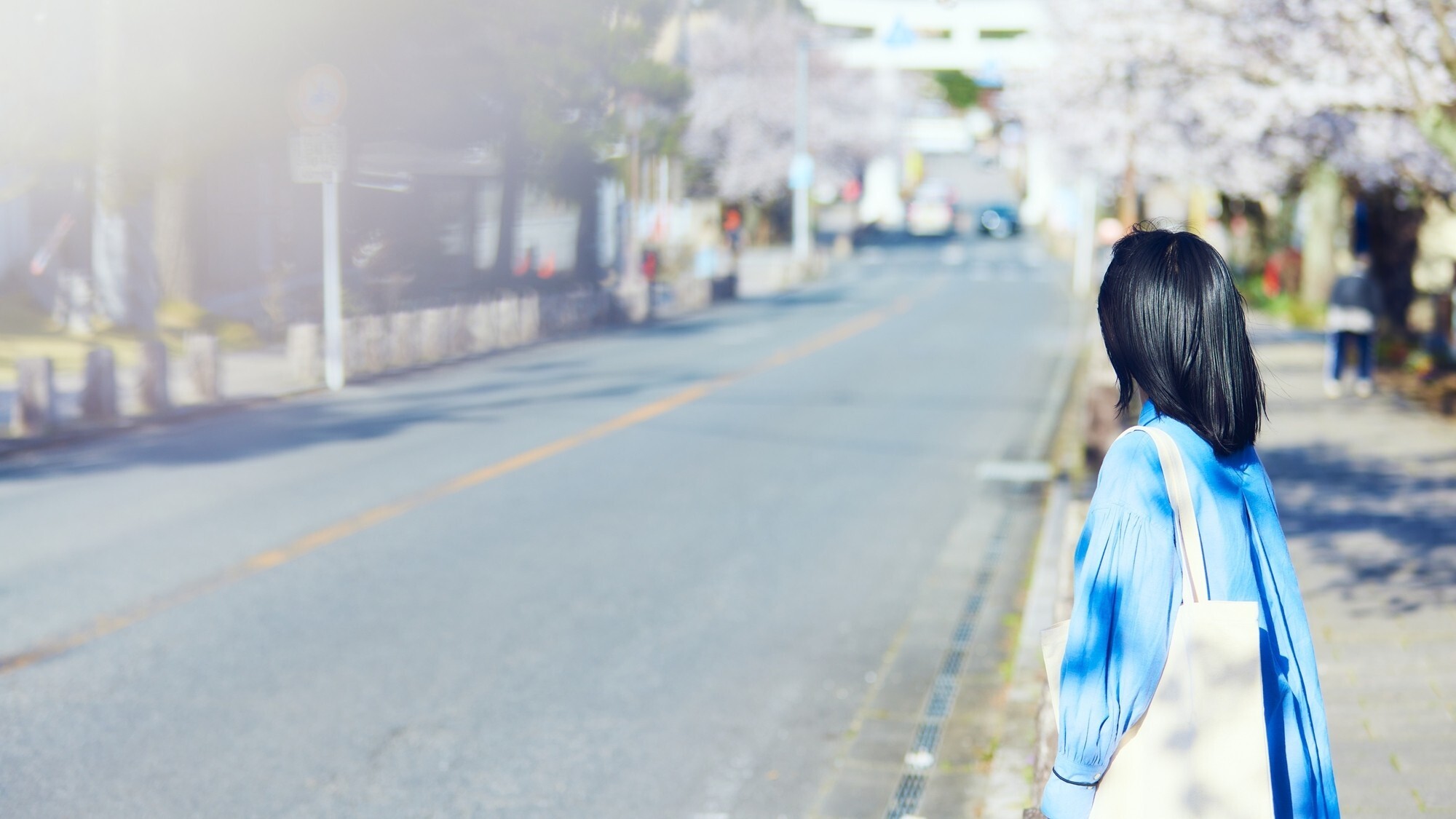 [周辺/春]春になると町全体が桜色に染まります。