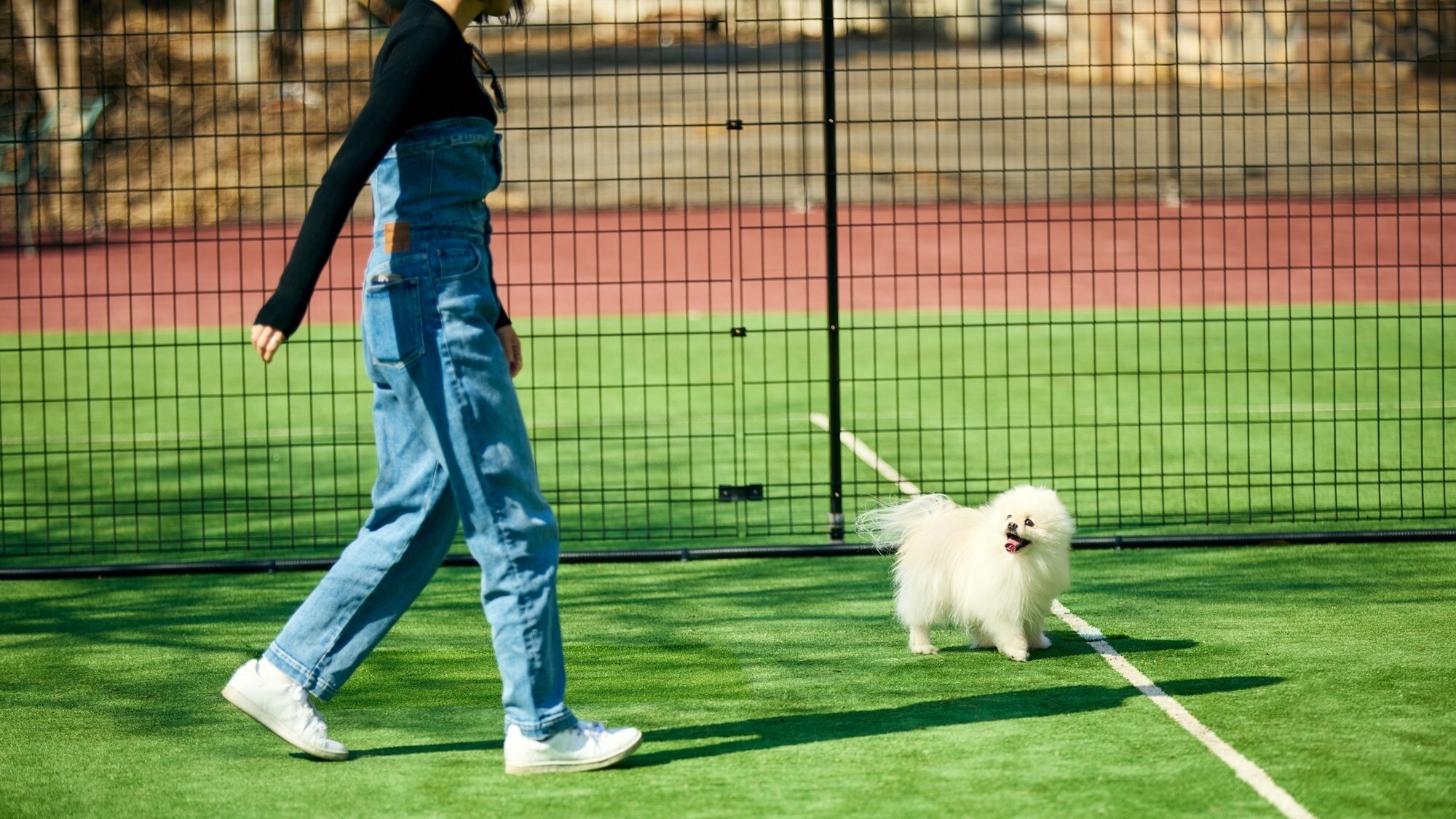 [DOG PARK]棟ごとに仕切られているので、 周りを気にせず遊ぶことができます。