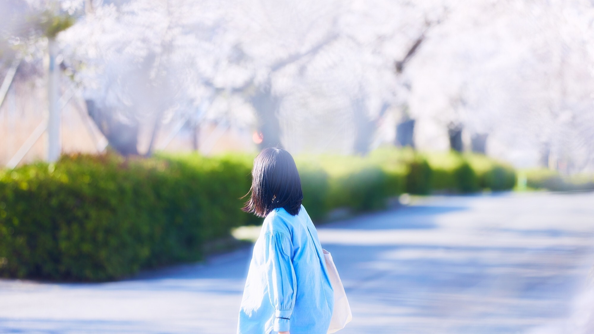 [周辺/春]自然豊かな秩父・長瀞で咲く春の彩りをご満喫ください。