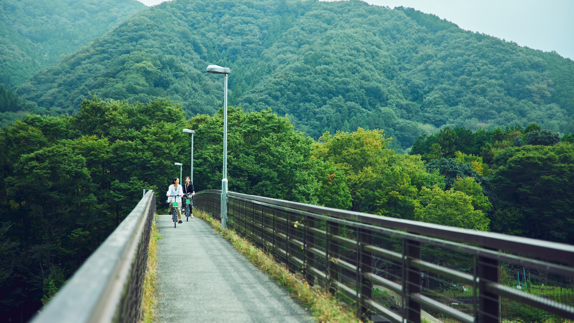 [サイクリング]初夏は「新緑」、秋は見事な「紅葉」が楽しめるスポットです。