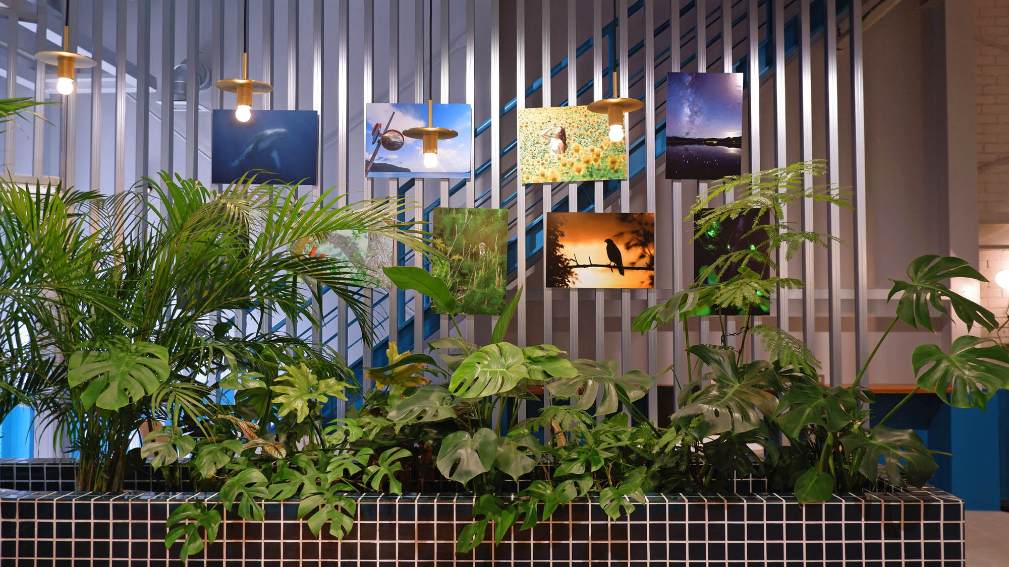 【Cafe】奄美大島の自然を切り取った写真とグリーンに囲まれた1Fカフェスペース。