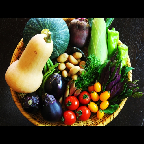 戸隠の朝採れ野菜。綺麗な空気と水で育った野菜は美味しいです