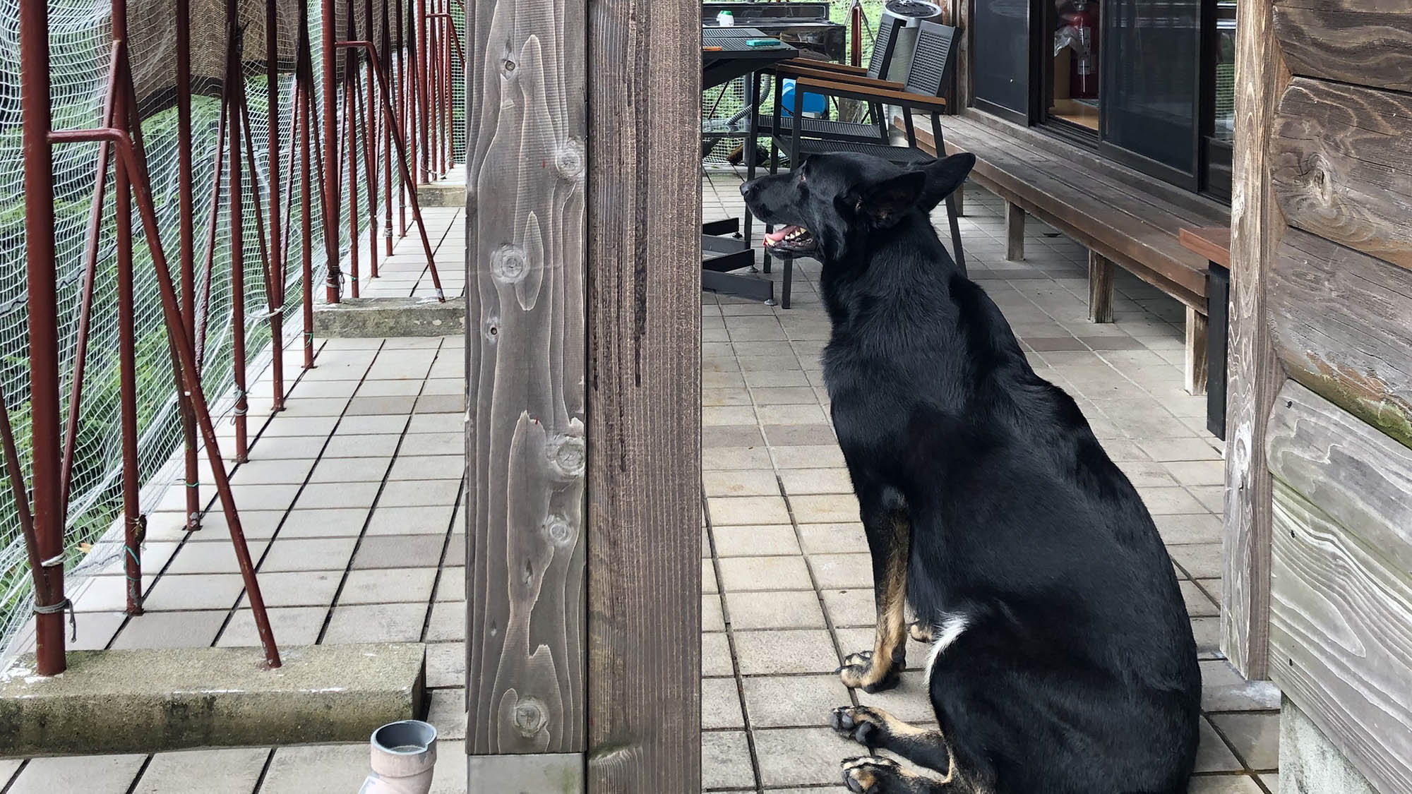 ・【ペット可】ベランダで愛犬と景色を眺めたり、一緒に日向ぼっこをしたり。思い出作りに最適な空間です