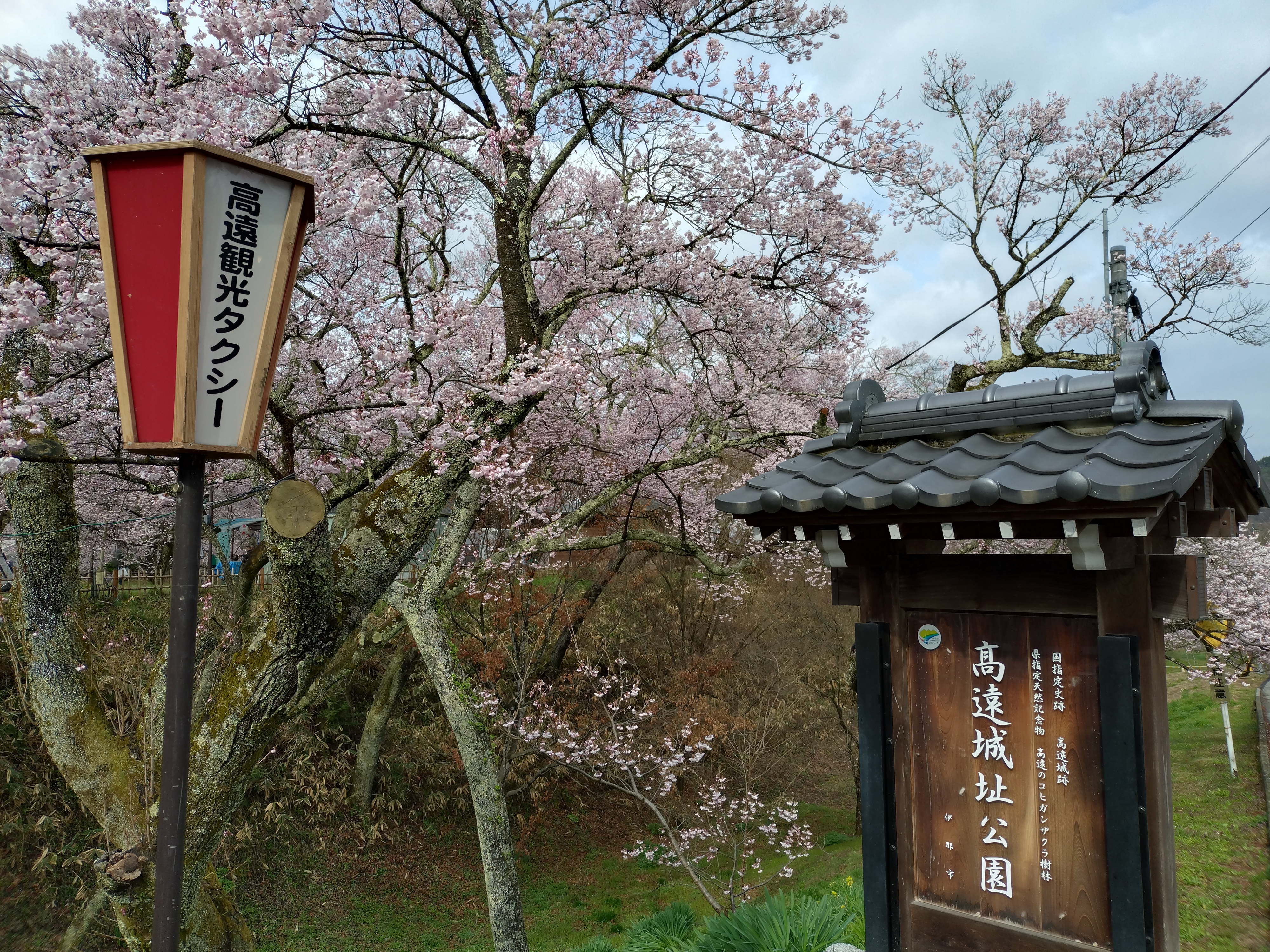 近隣　高遠城址公園