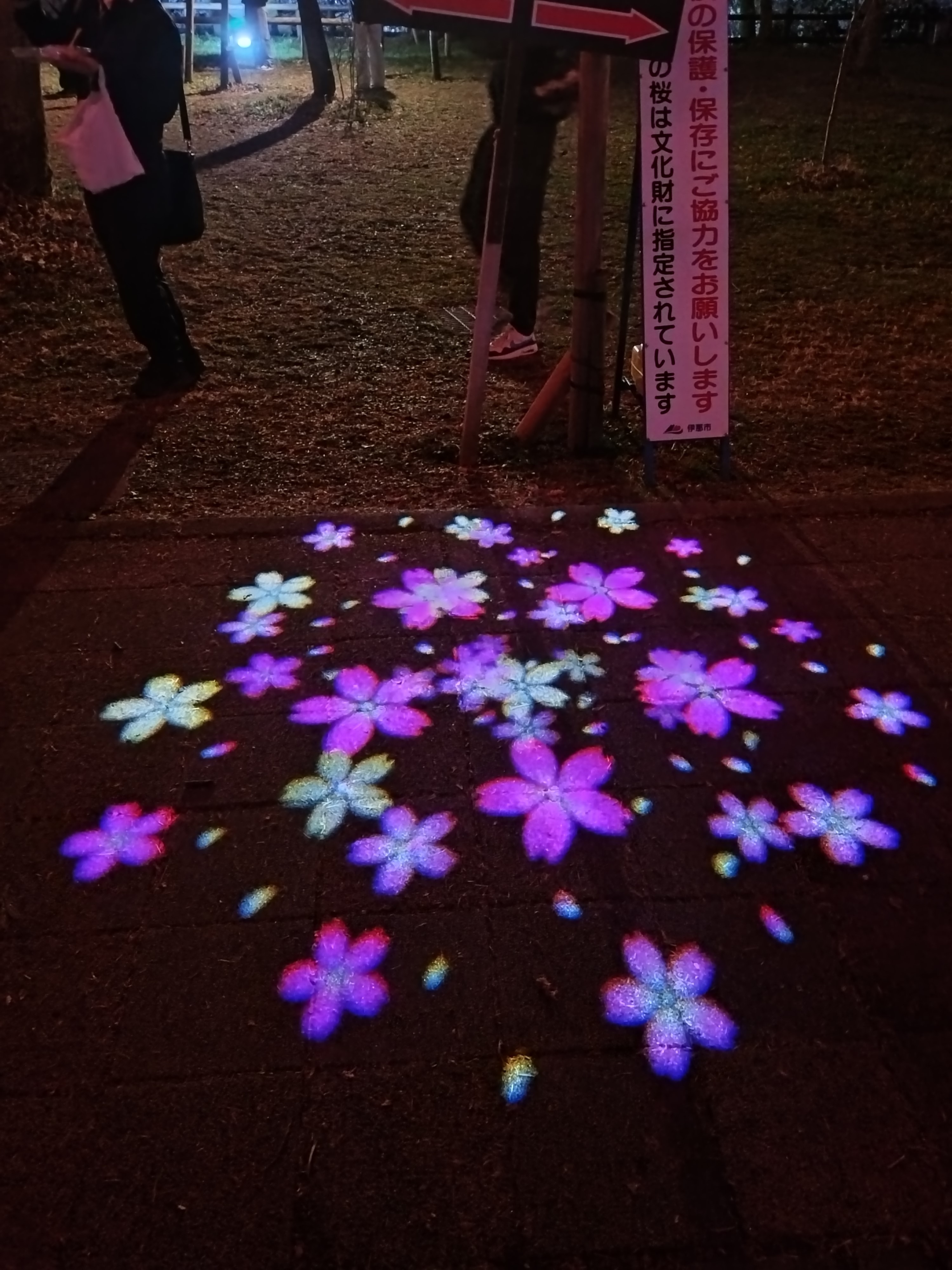 近隣　高遠城址公園