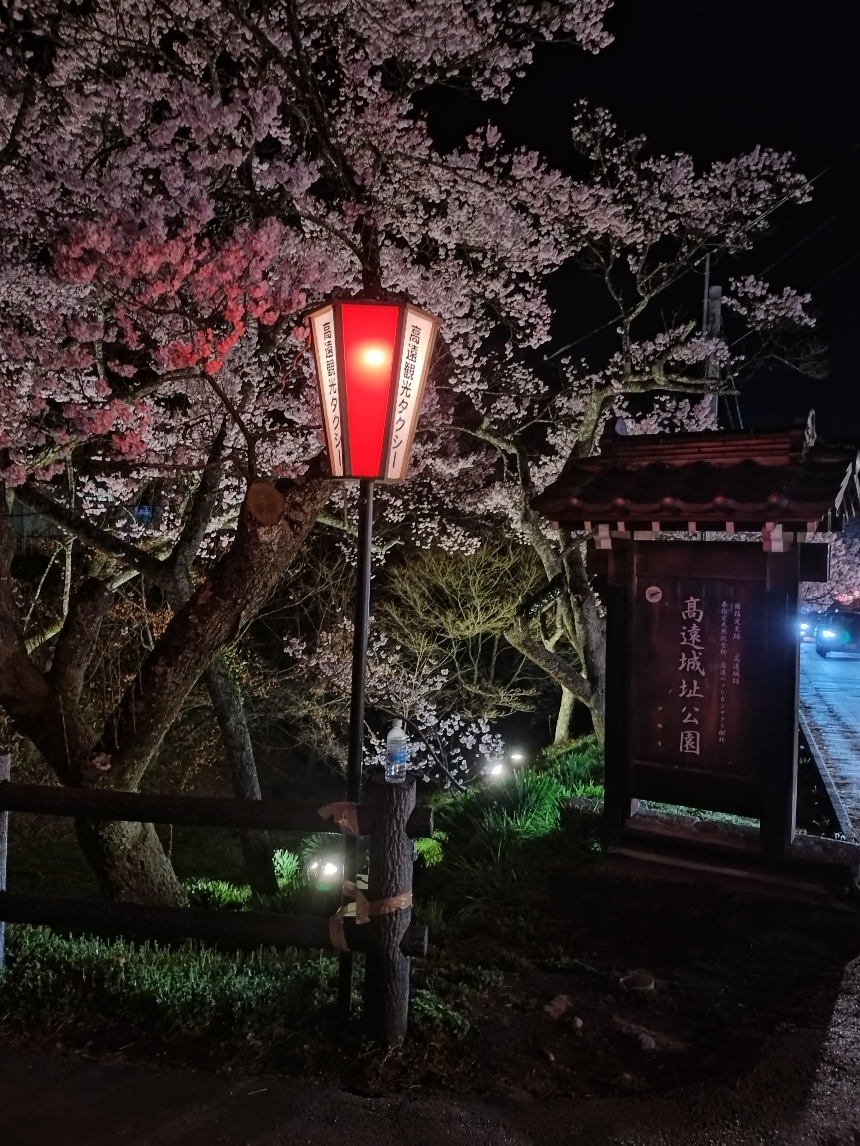 近隣　高遠城址公園