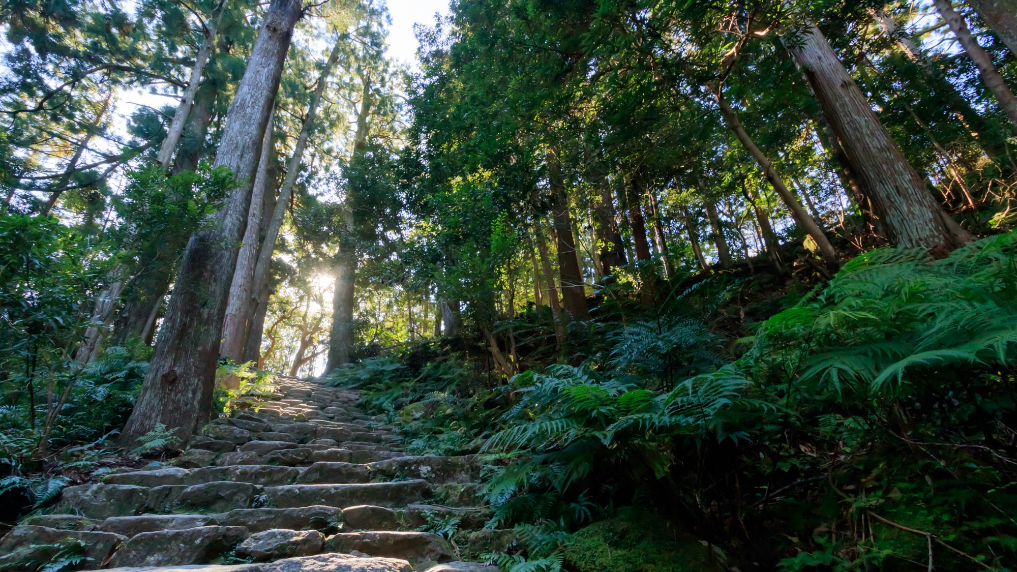 神社や古道の遺跡から熊野古道の歴史を感じ、また周囲には美しい滝や自然景観が広がっています。