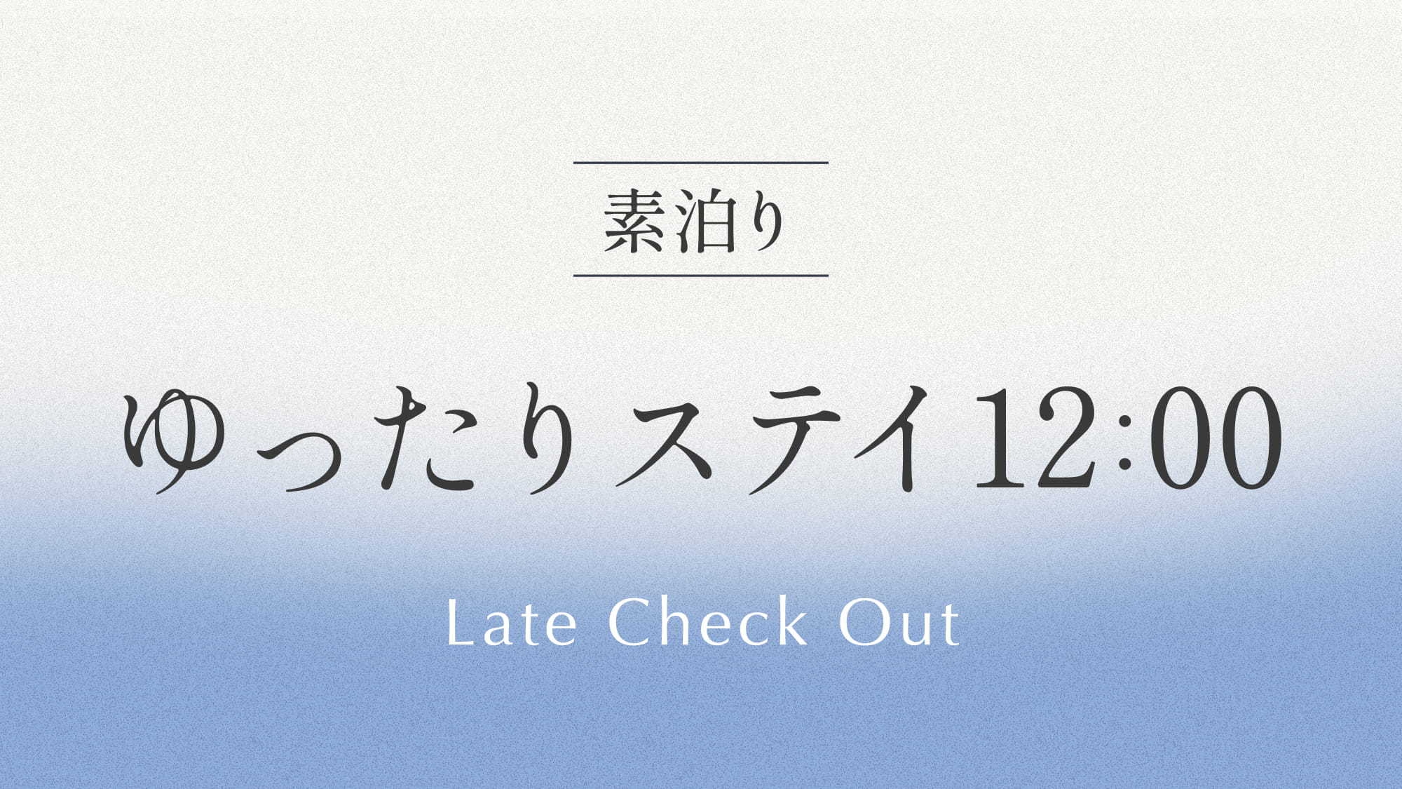 ゆったりステイ　12：00アウトプラン 《 素泊り 》