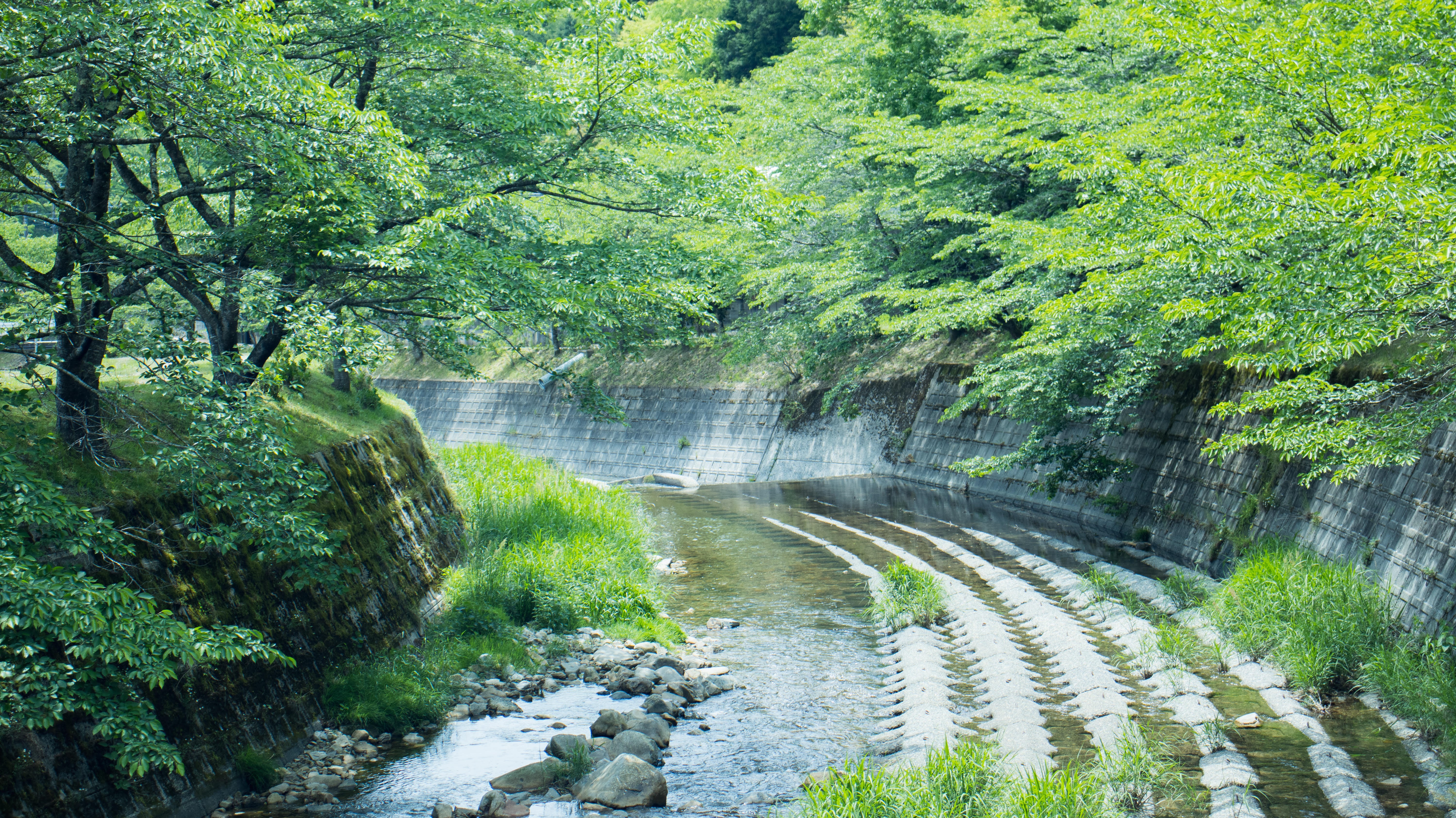 初夏の川